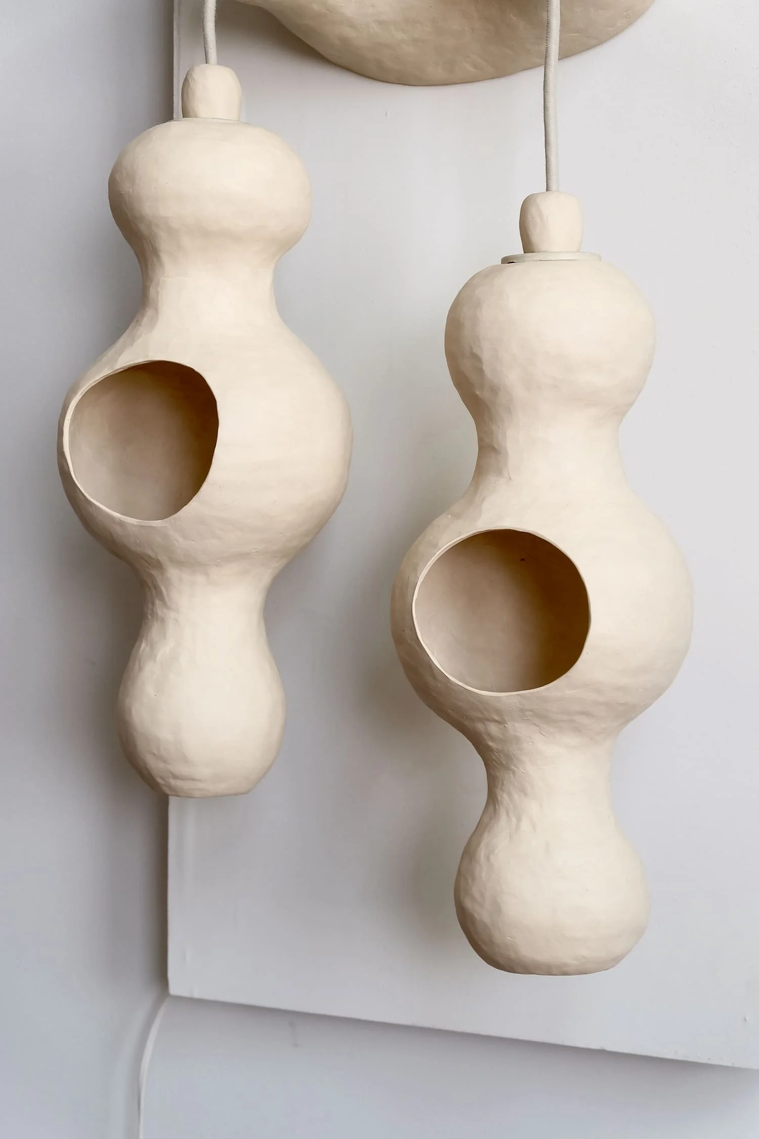 Bowerbird Couple Wall Lamp for Edison (3).jpeg