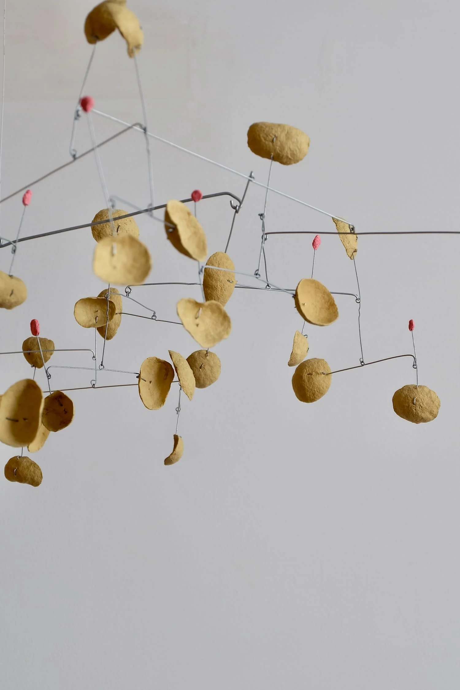 Maple Glaze with Pickled Plums (2)-1500.jpeg