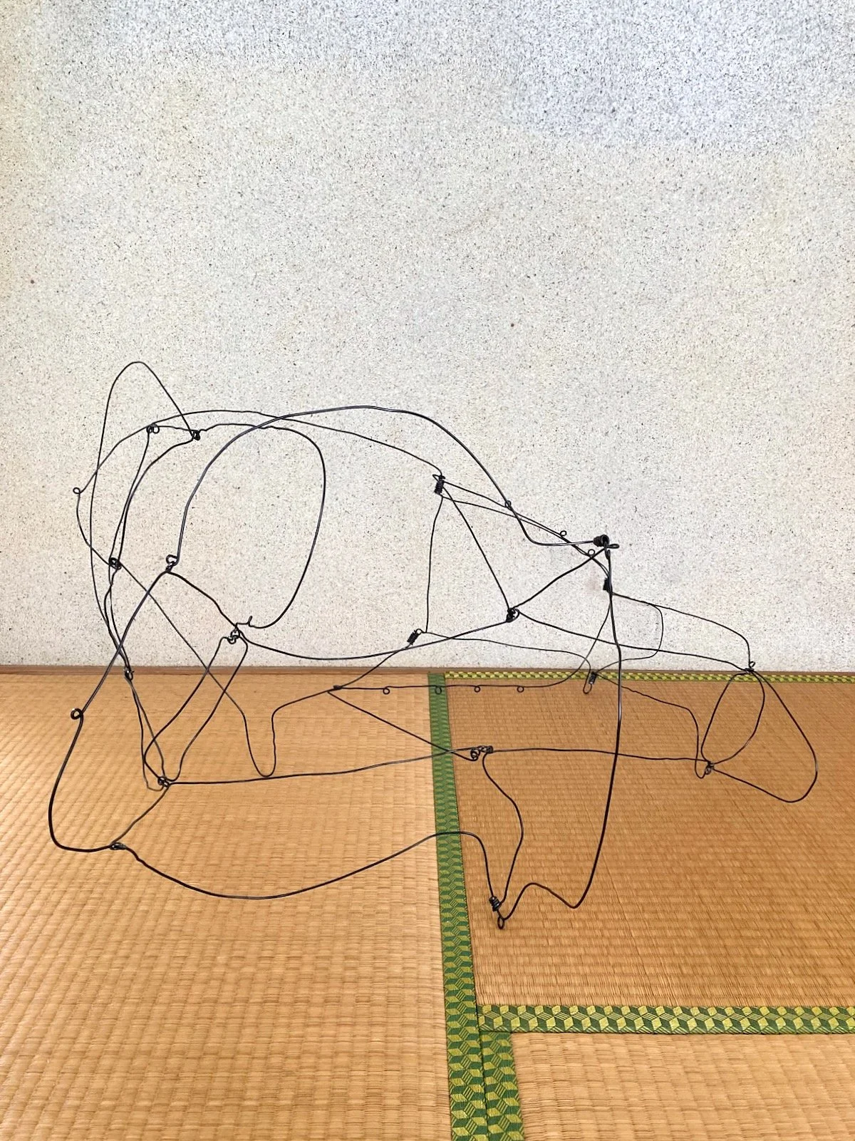 Wire Sculpture 18.jpeg