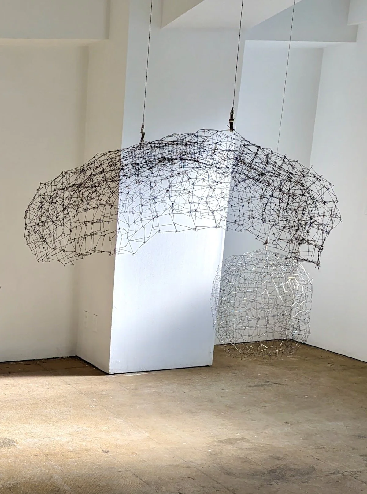 Wire Sculpture 26.jpeg
