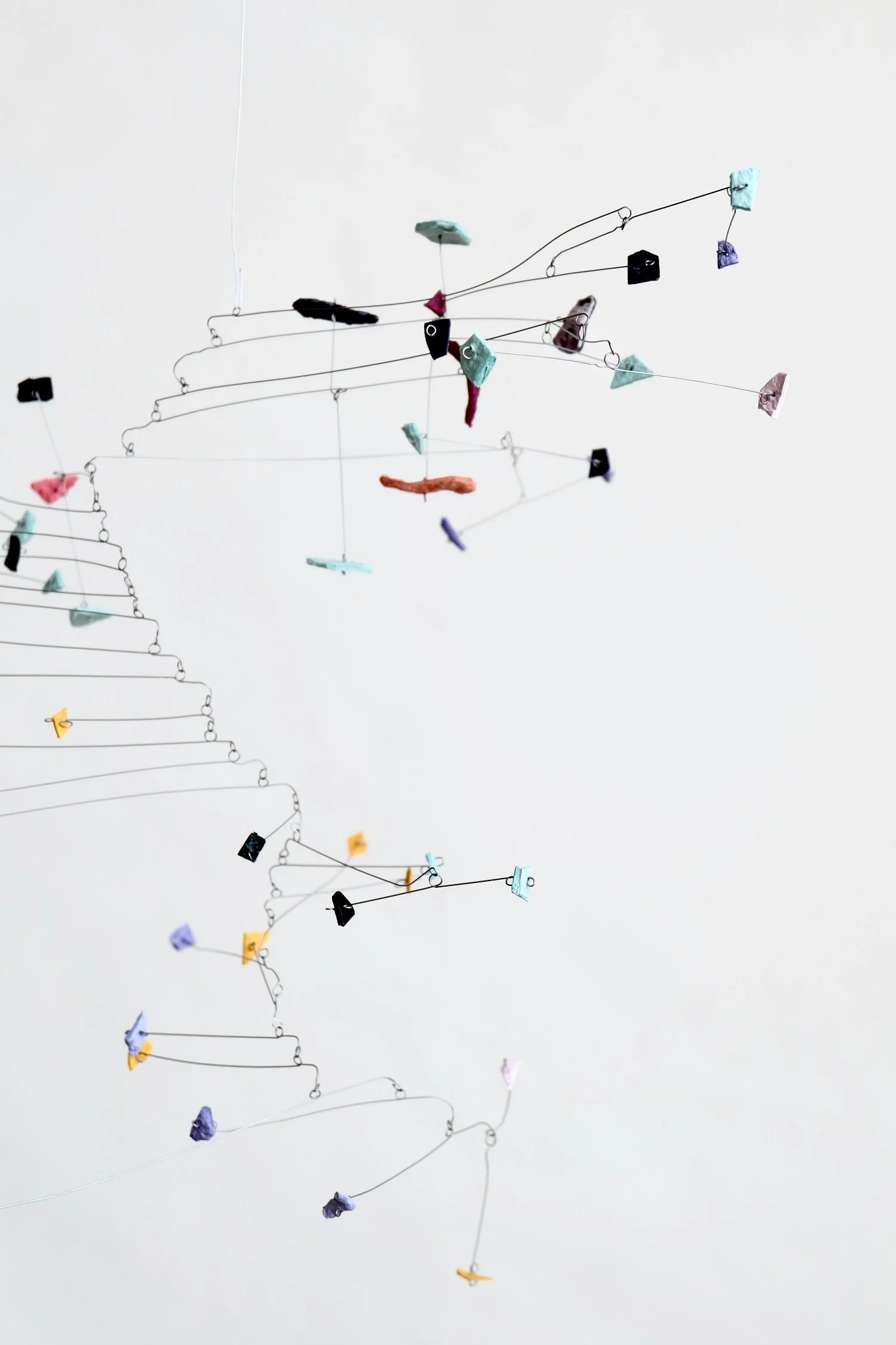 ホネ (Bone), 2025 (3).jpeg