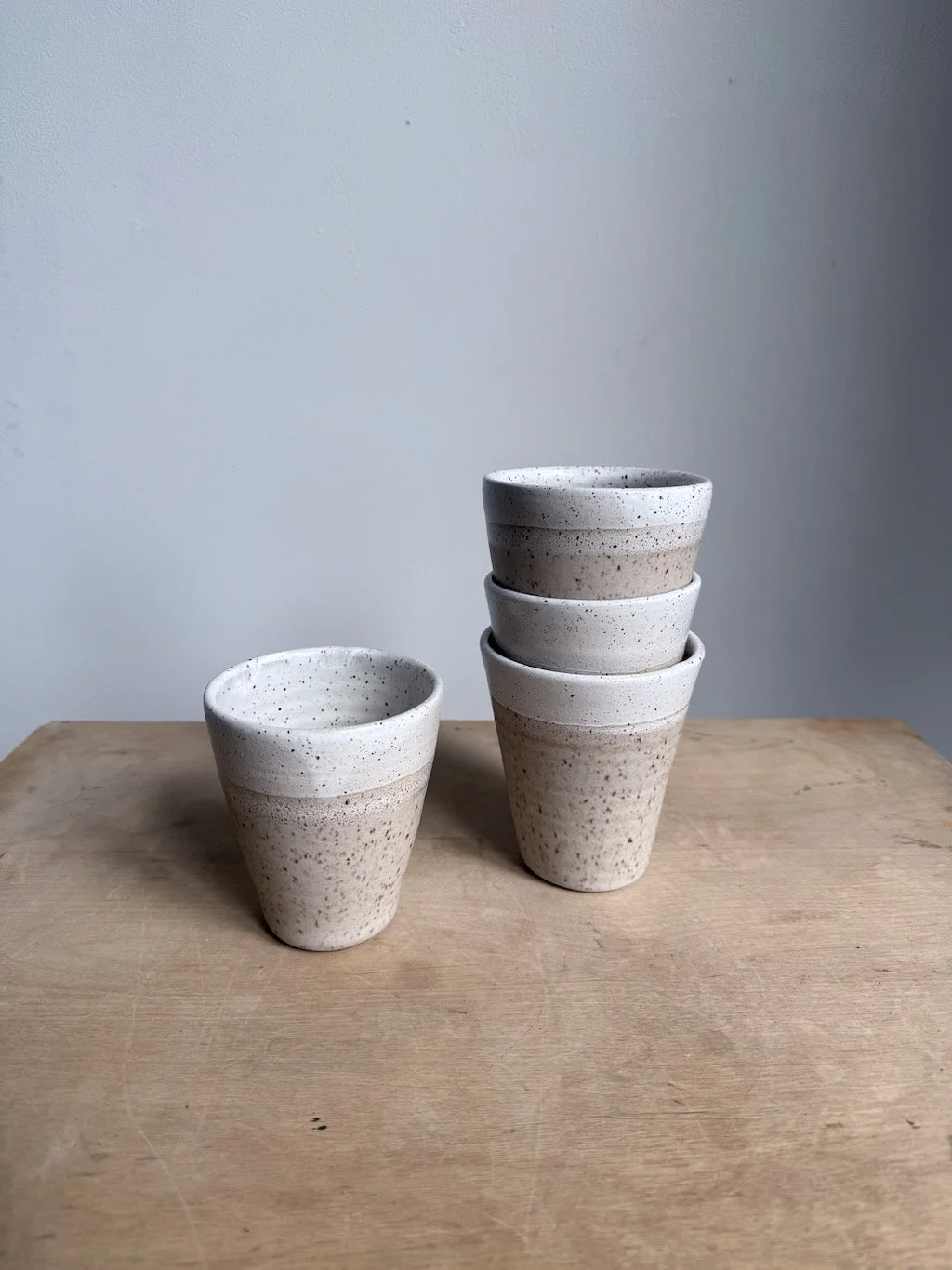 Frosted Speckled Tumbler (1).jpeg