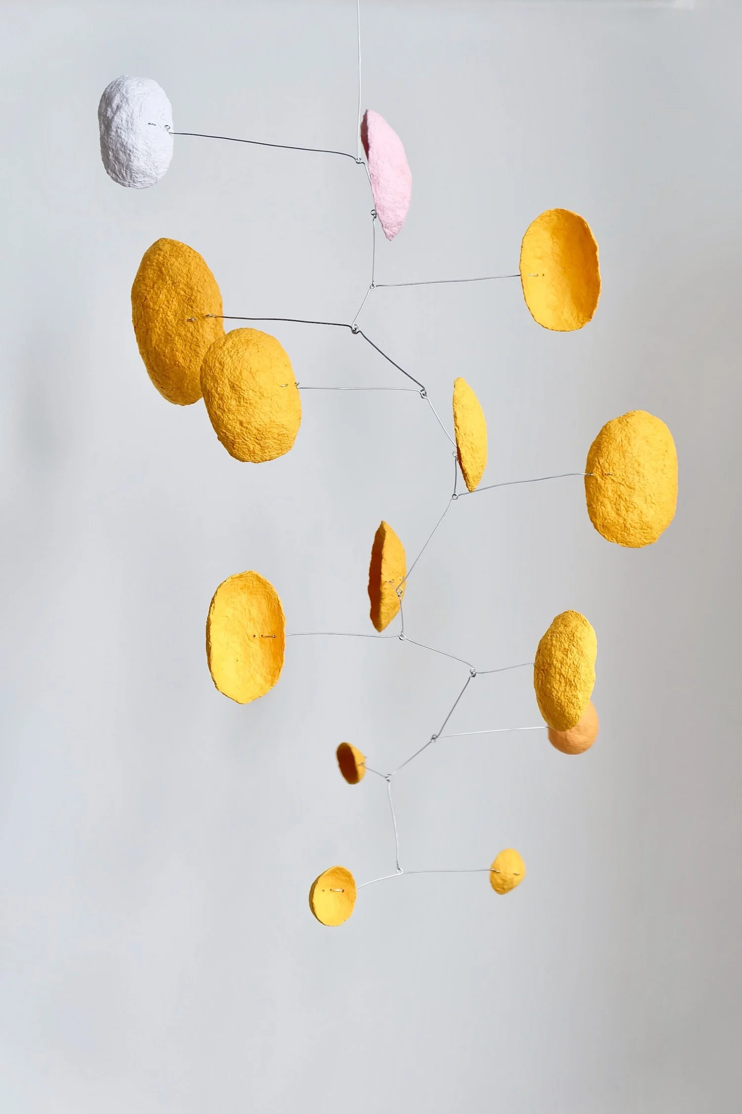 3-03 PM (Saffron) (2).jpeg