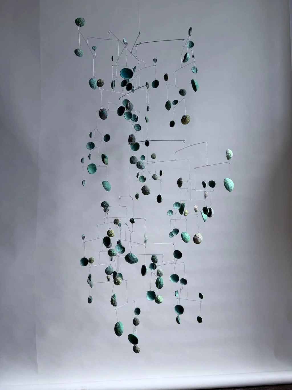 Mindo Cloud Forest (Edition 1 of 2), 2025 (8).jpeg