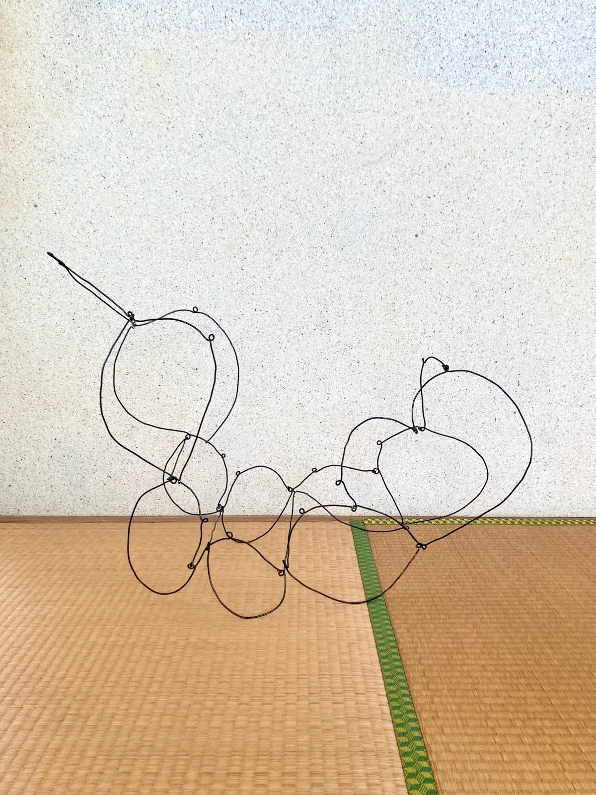 Wire Sculpture 21.jpeg