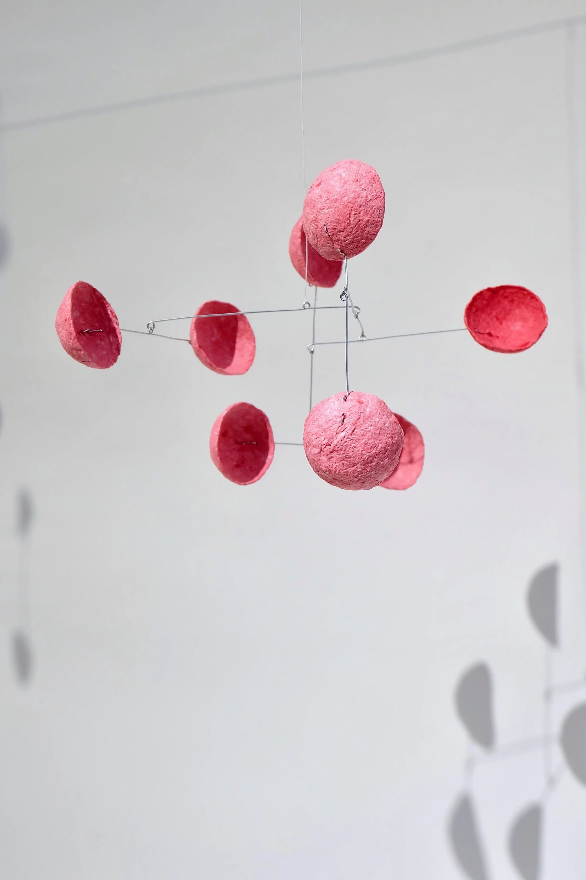 Bonbon Pink (1).jpeg