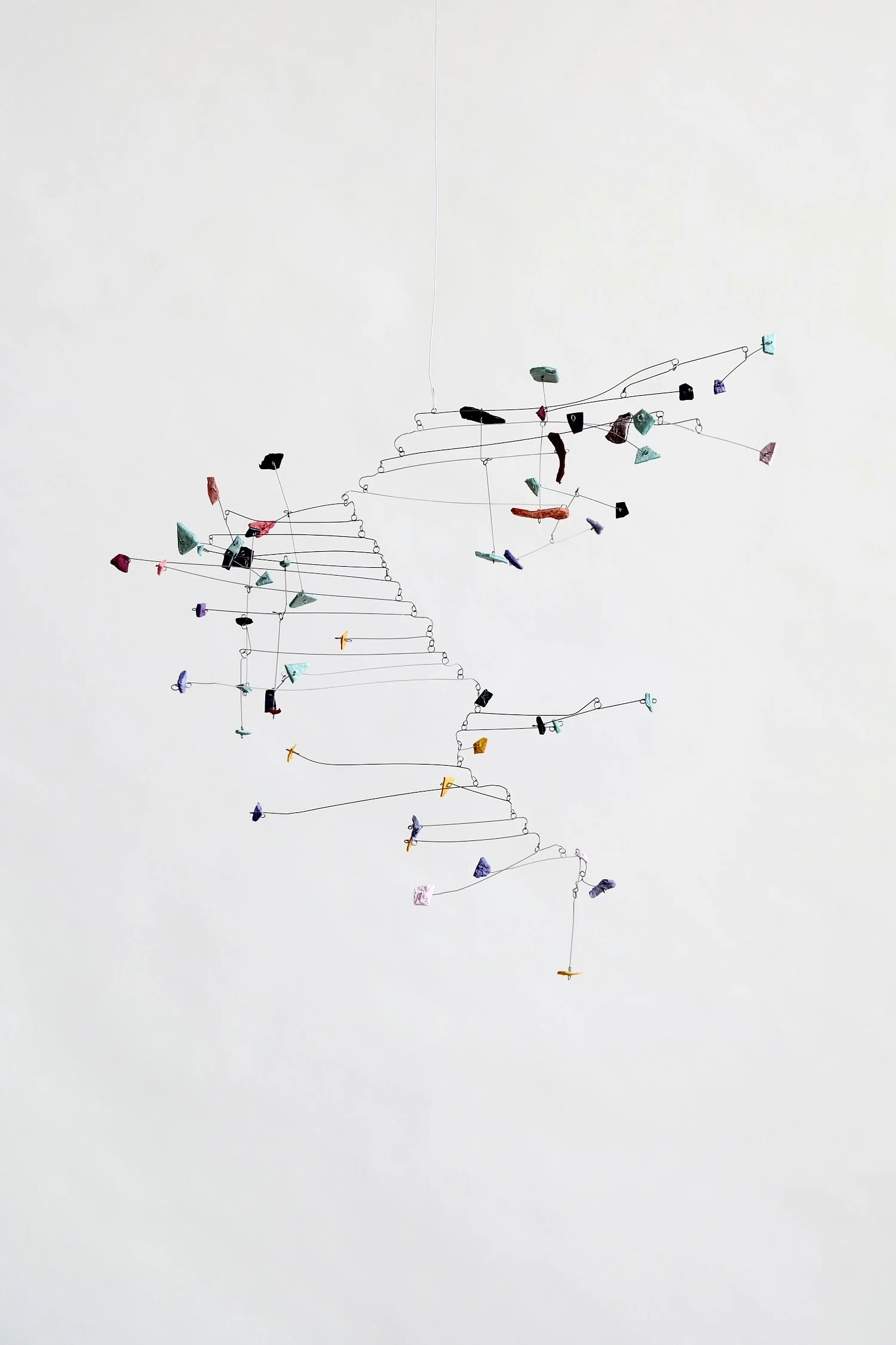 ホネ (Bone), 2025 (2).jpeg