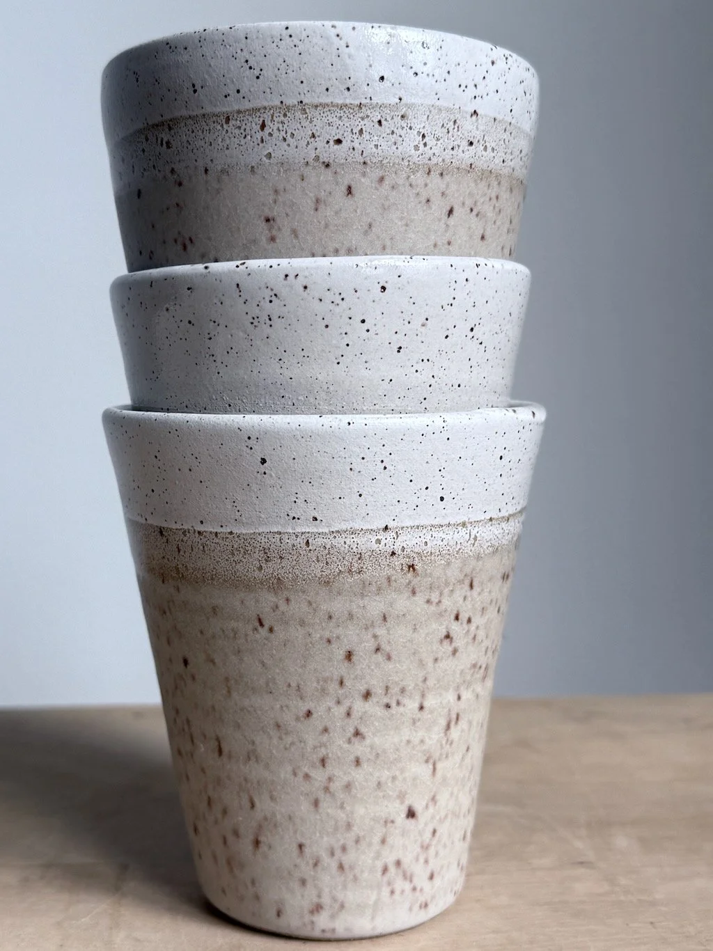 Frosted Speckled Tumbler (2).jpeg