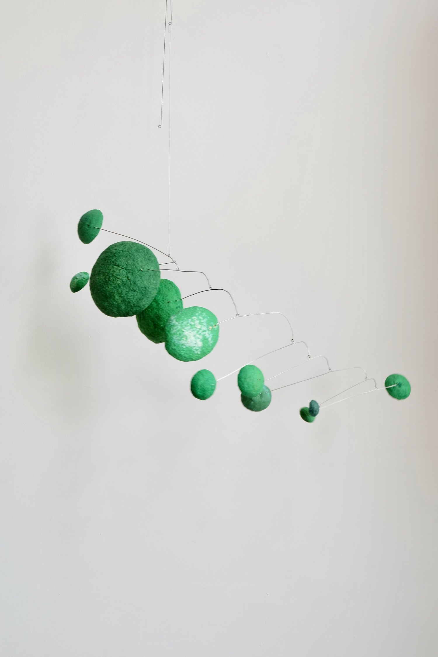 Green Caterpillar 01.jpeg