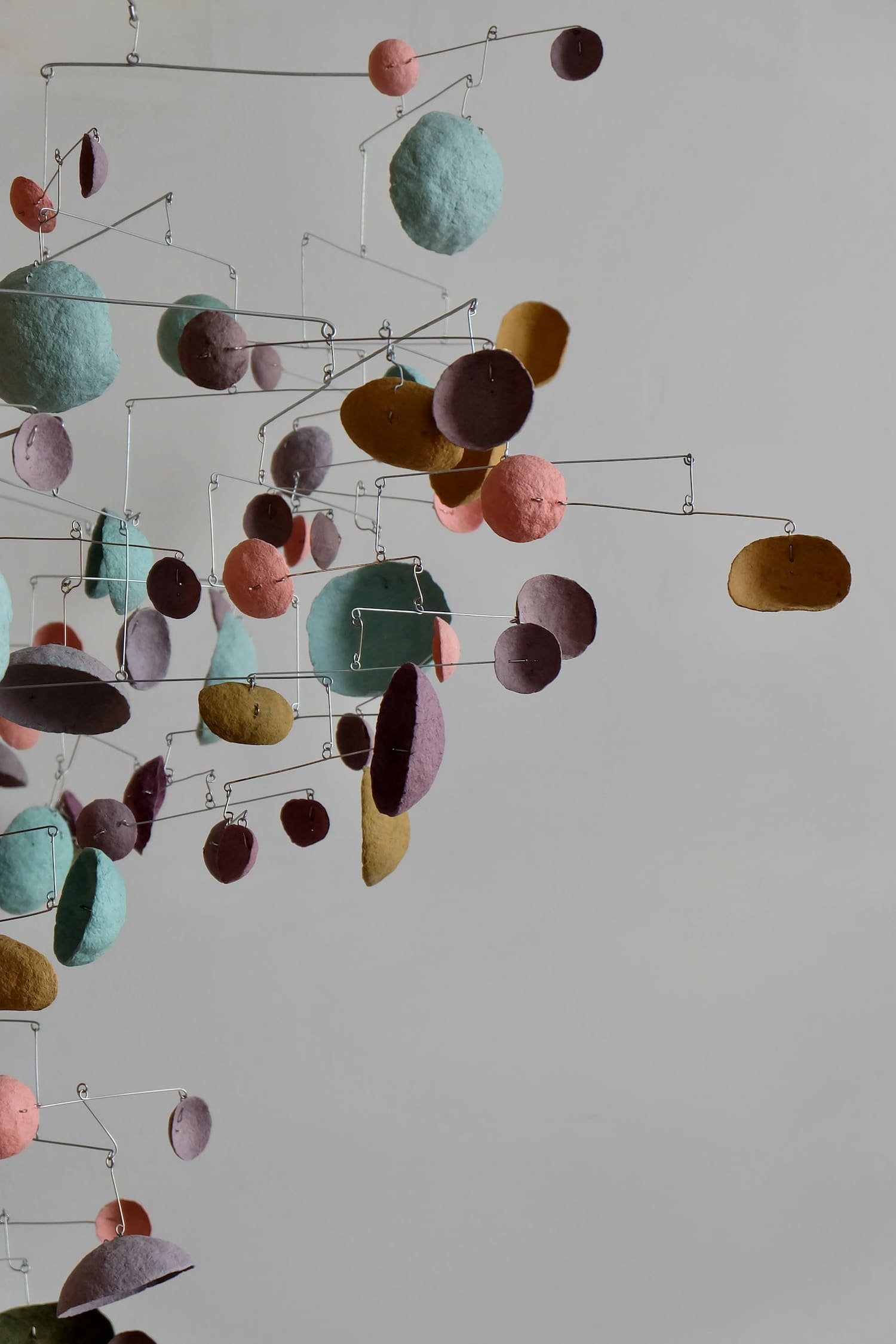 Purple-Dot BAAB-BAA-05-1500.jpeg