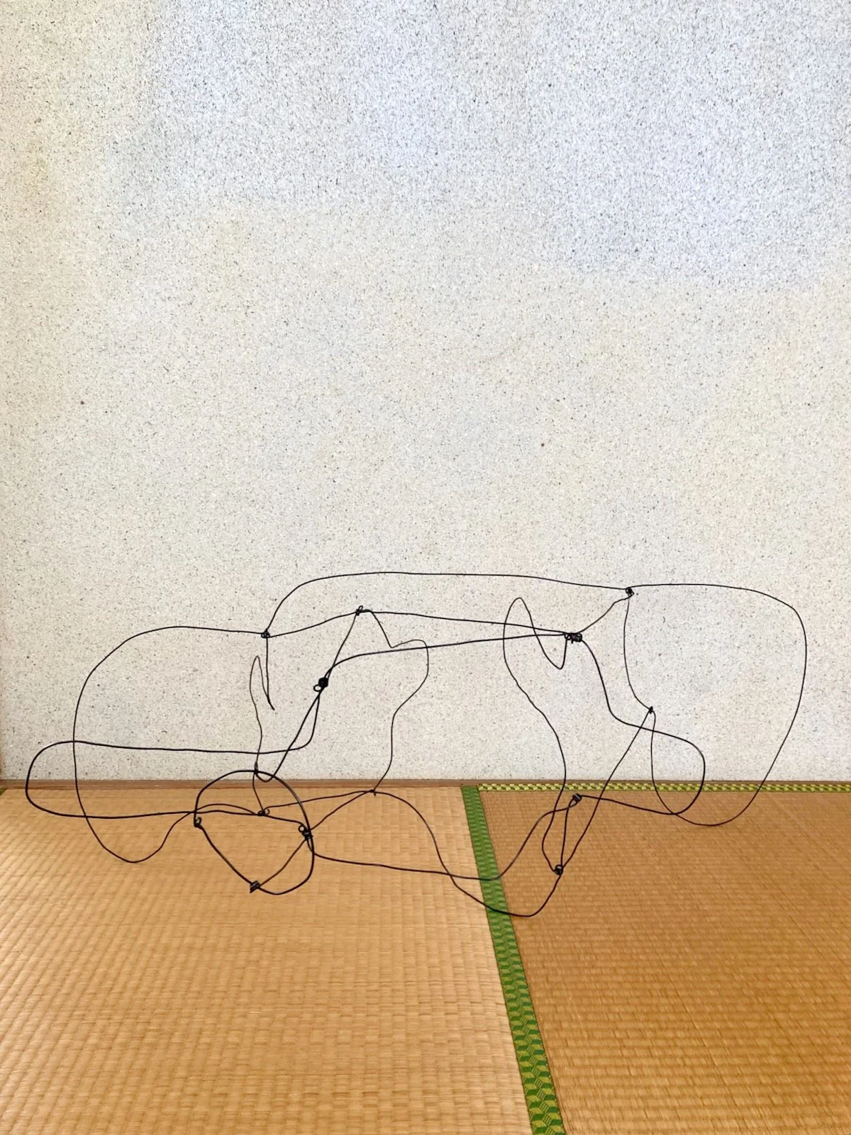 Wire Sculpture 19.jpeg