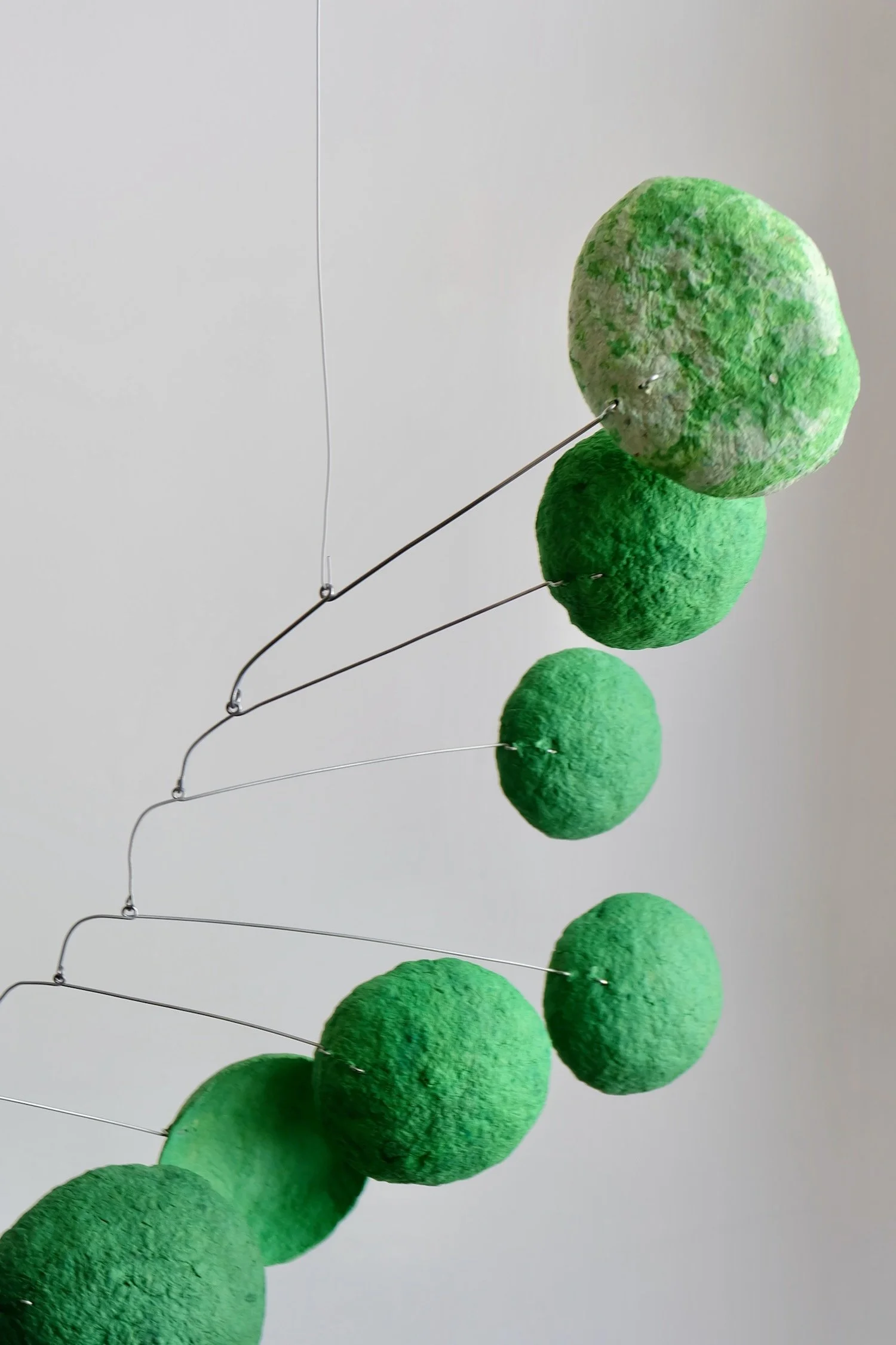 Green Caterpillar 03 (2).jpeg