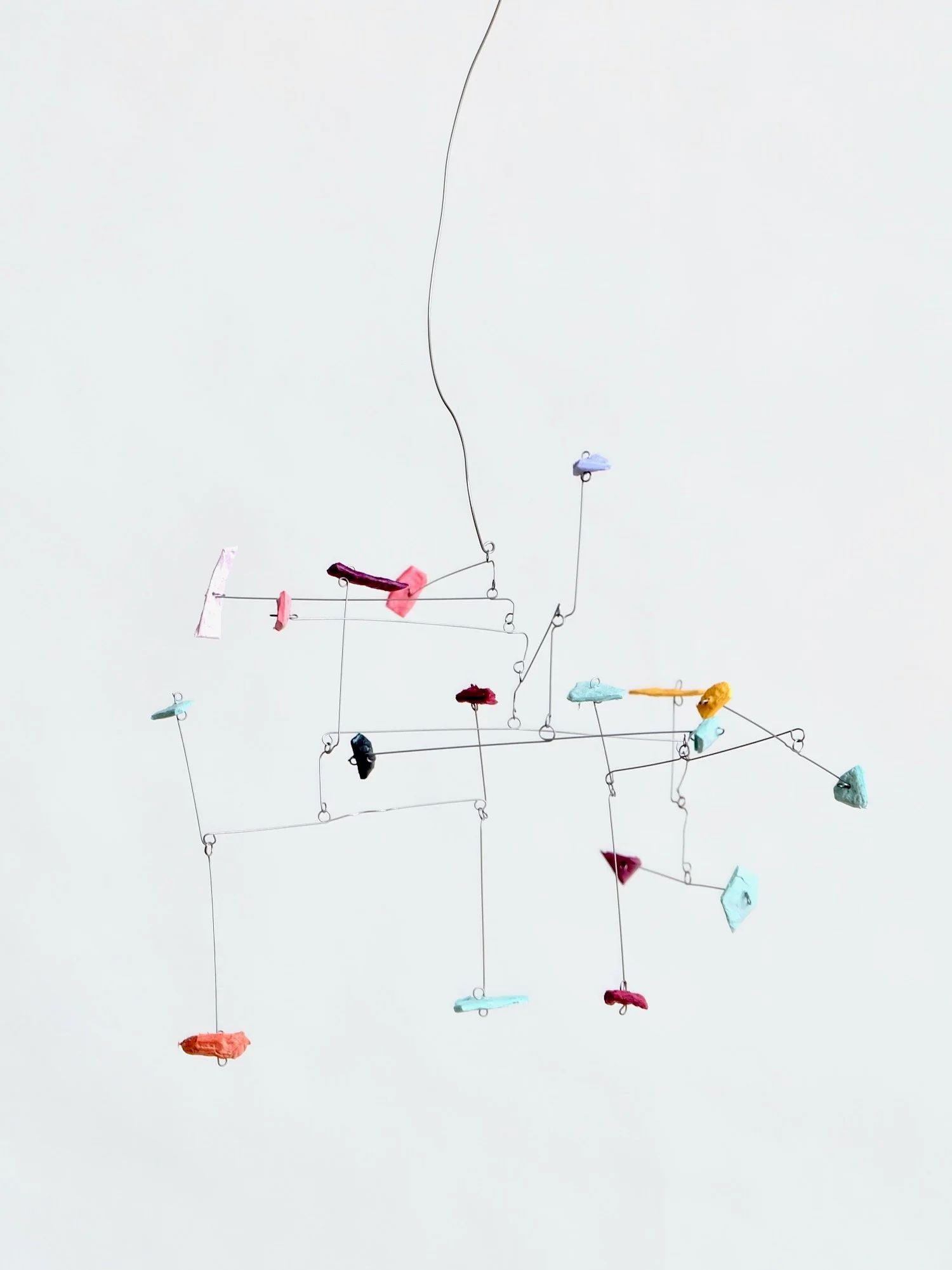 ココツブ (Kokotsubu), 2025.jpeg