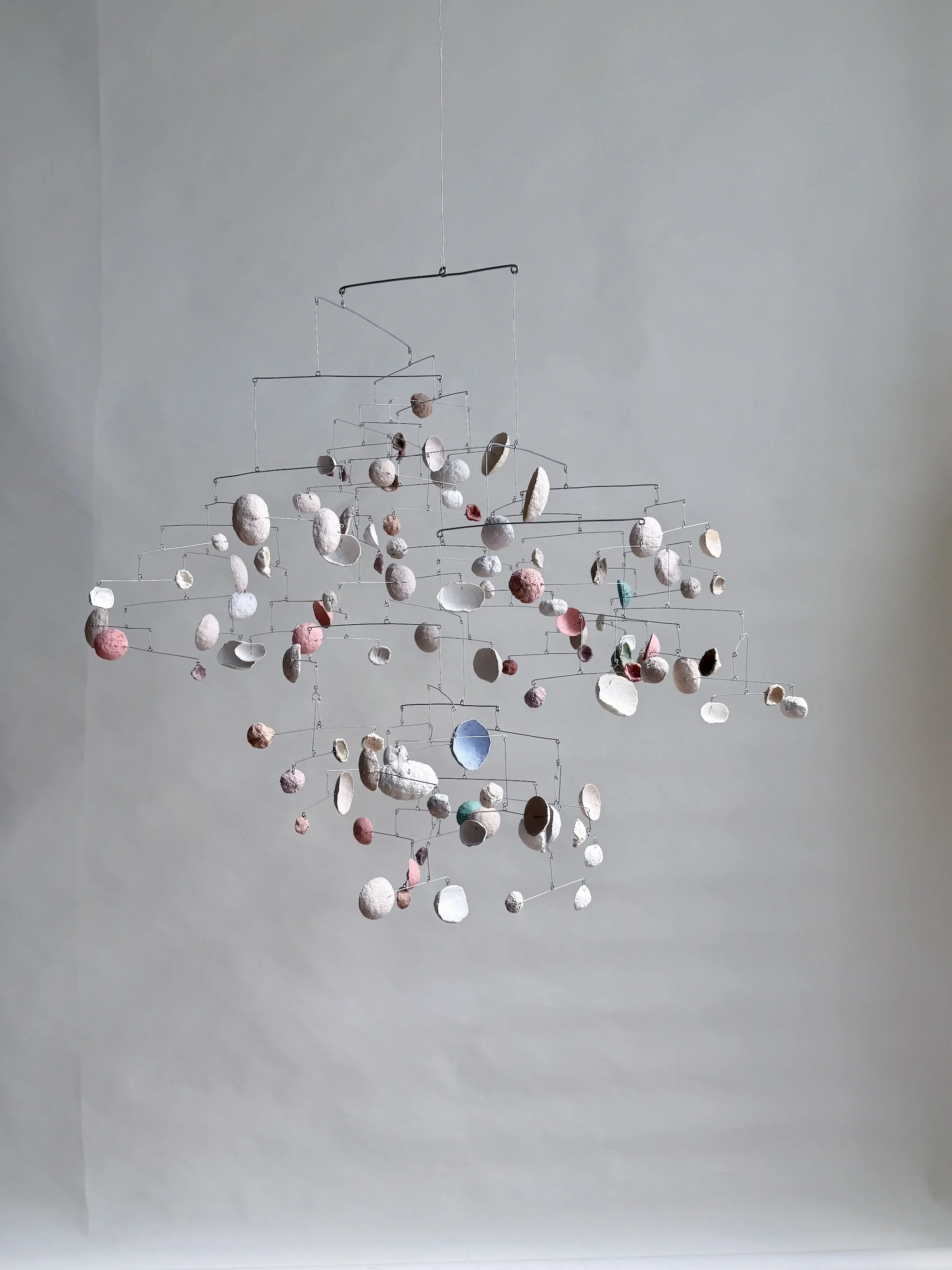 Wiggle-Under. Black-Dot BAAB-BAA, 2024. (15).jpeg