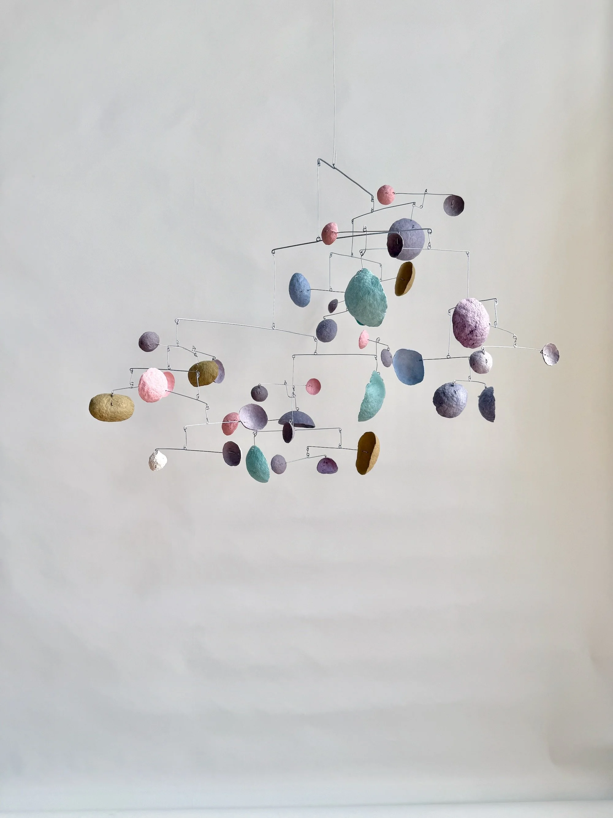 Wiggle-Under. Purple-Dot BAA with One Cap, 2024. (3).jpeg