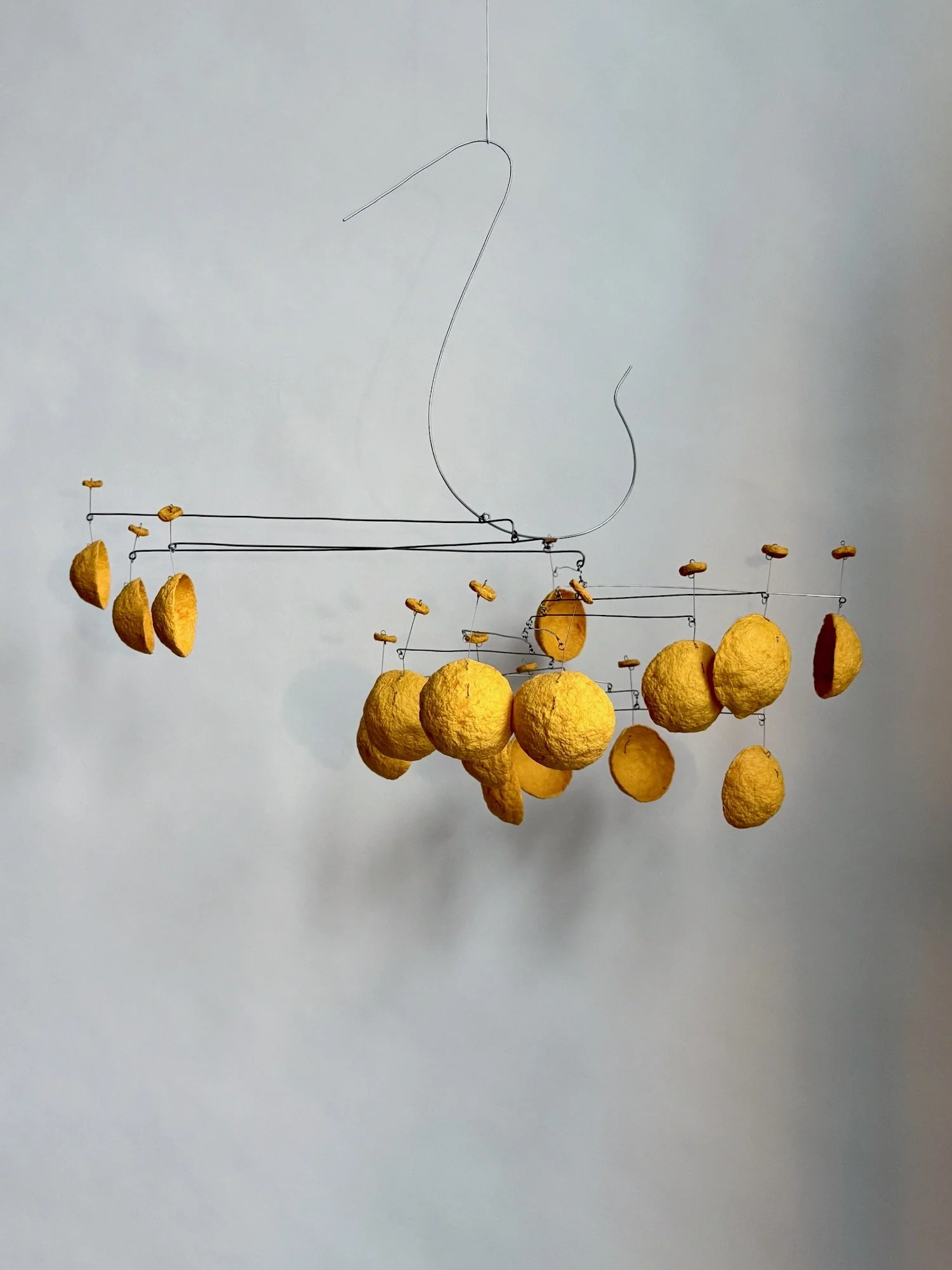 大人気 (Truly Popular), 2025..jpeg