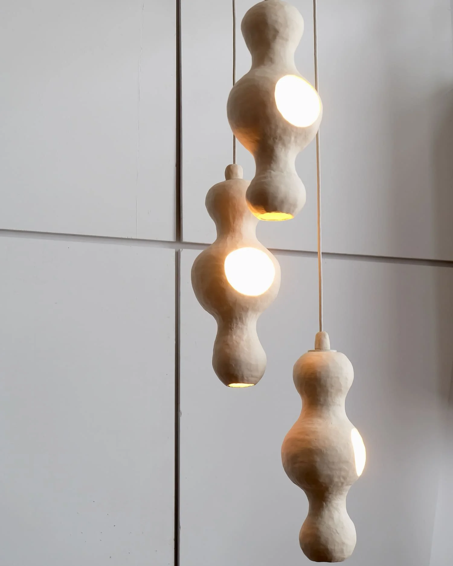 Bowerbird Family for Edison.jpeg