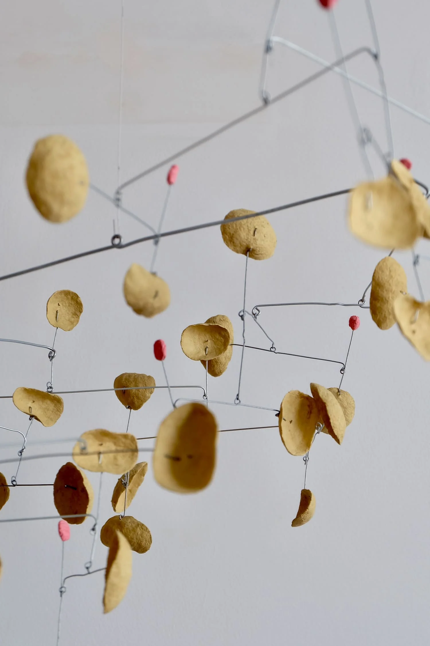 Maple Glaze with Pickled Plums (3)-1500.jpeg