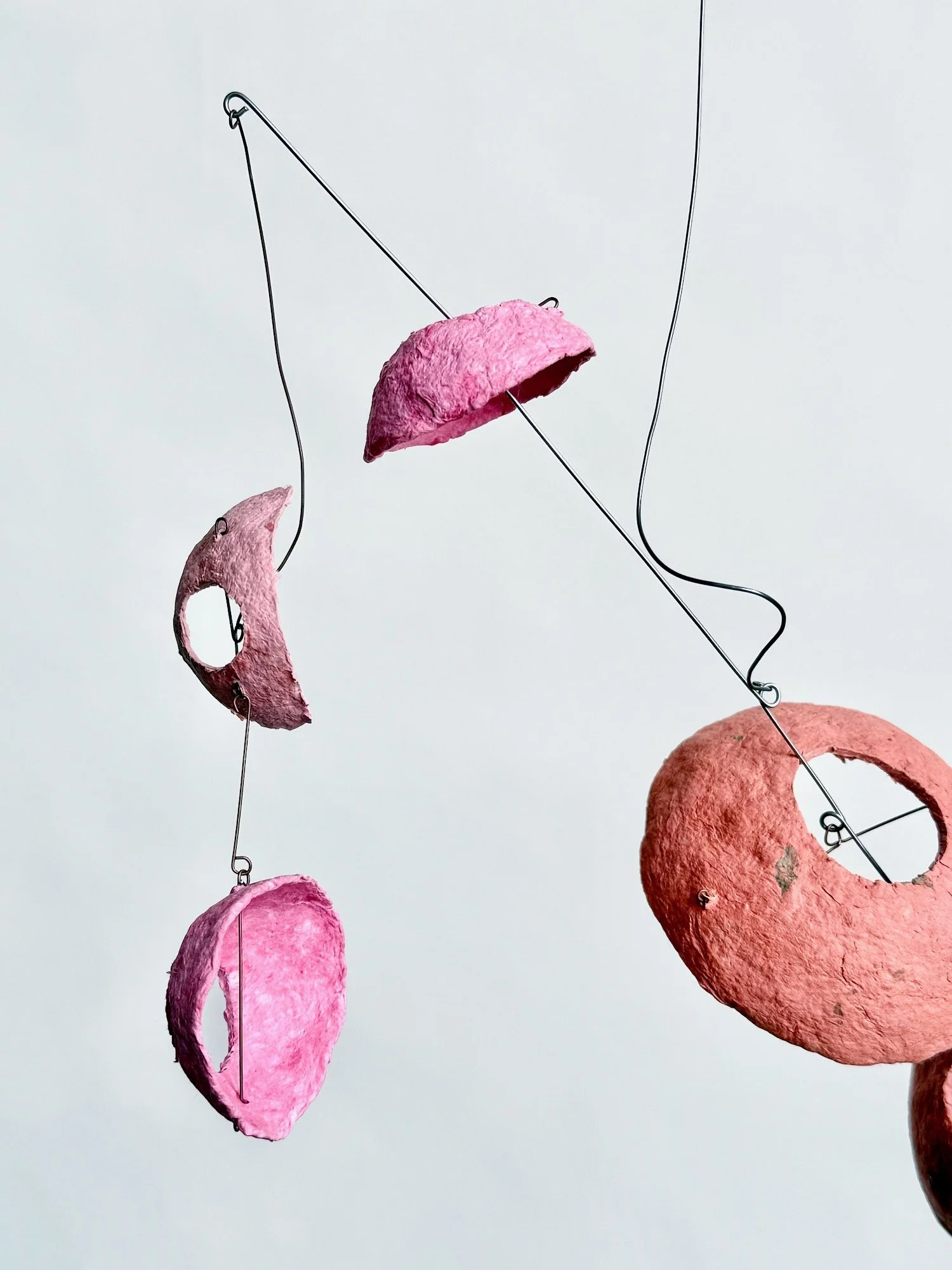 乱切り (Rangiri), 2025 (4).jpeg