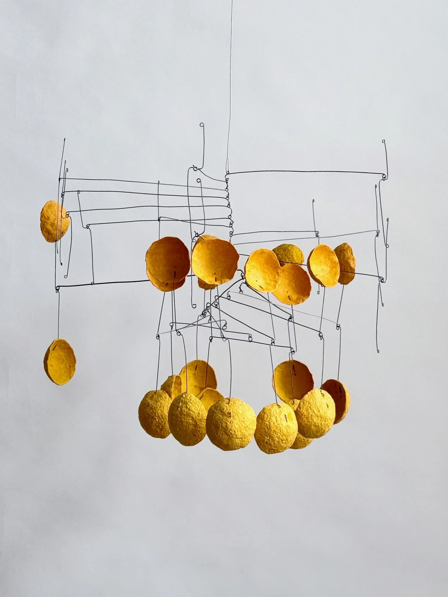 道草 (Michikusa), 2025..jpeg