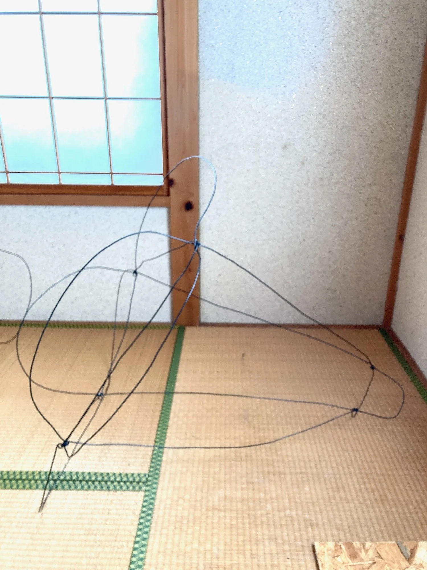 Wire Sculpture 20.jpeg