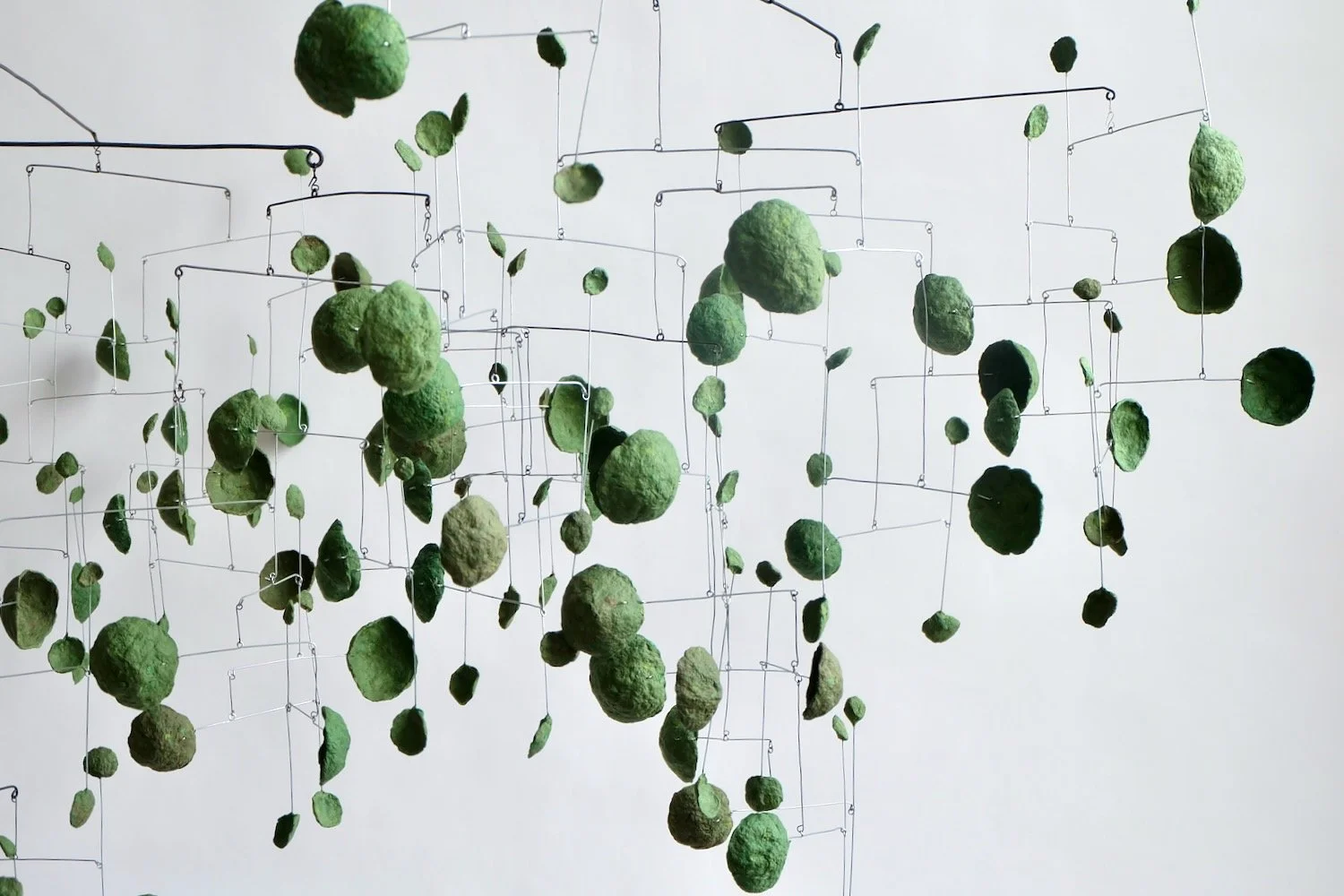 Mossy Mossy H9H (2).jpeg