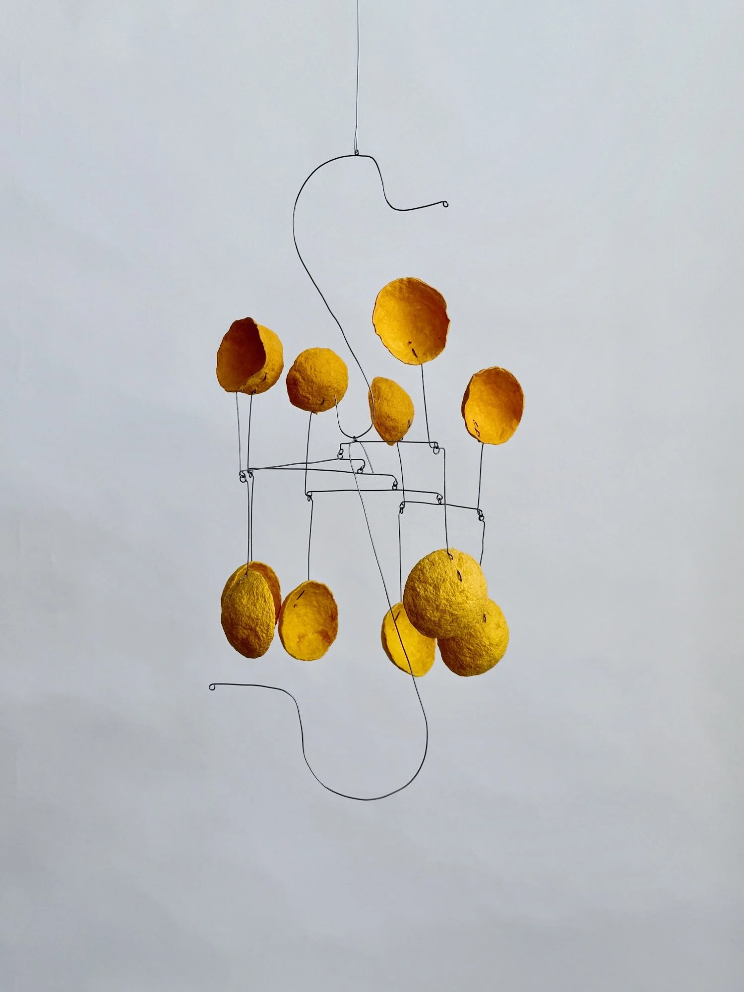 買い物 (Dinner Plans), 2025..jpeg