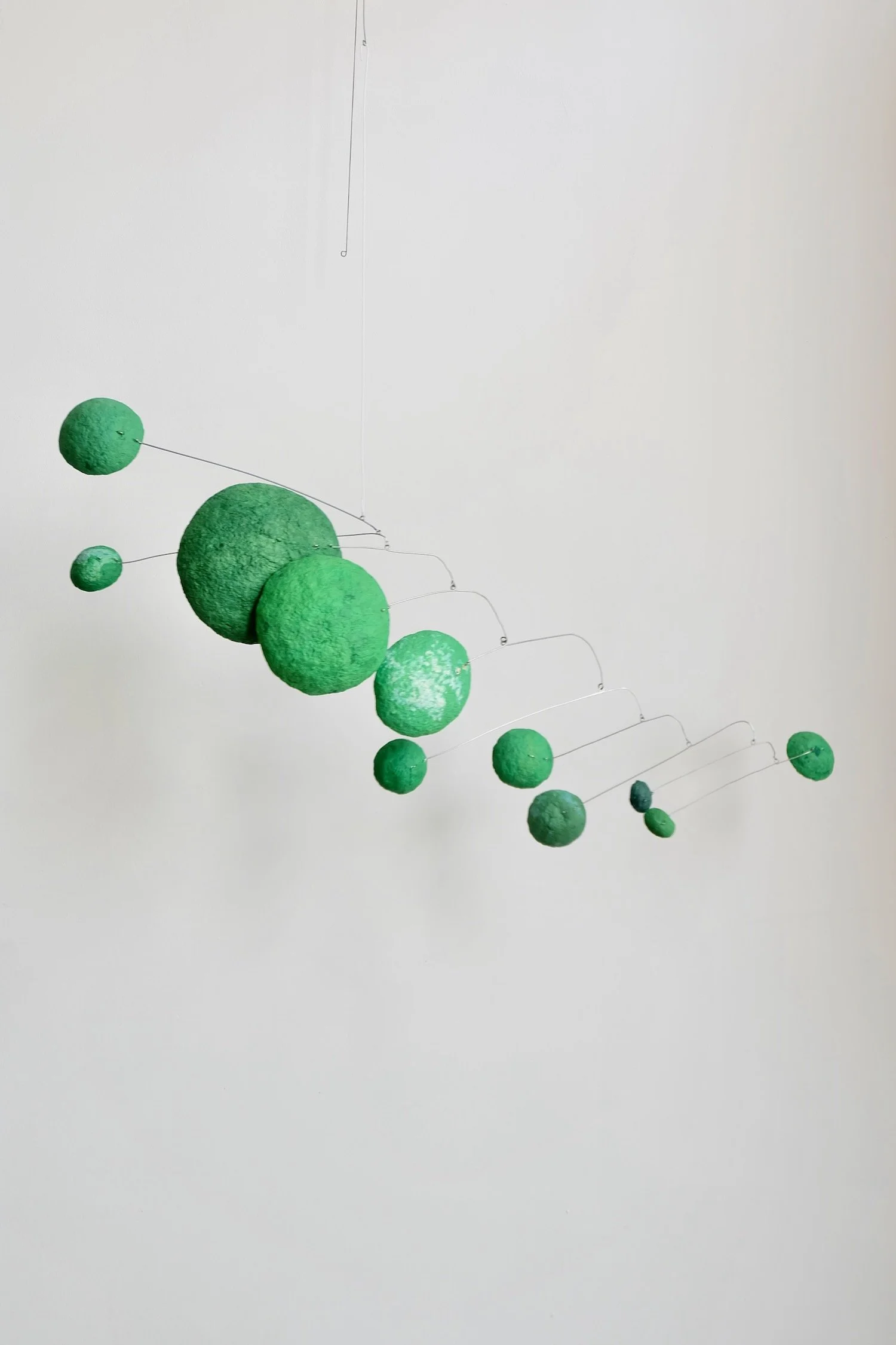 Green Caterpillar 01 (2).jpeg