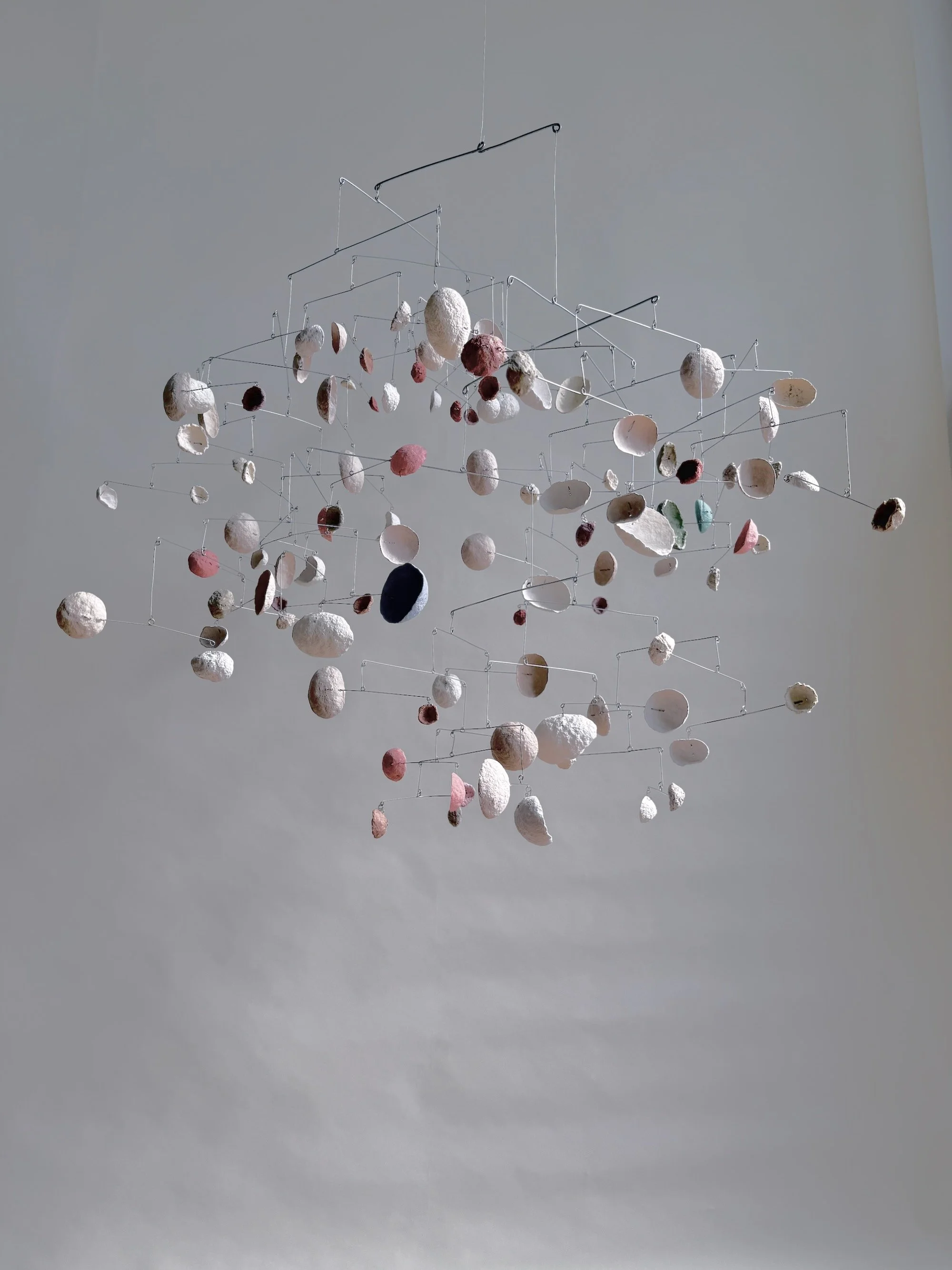 Wiggle-Under. Black-Dot BAAB-BAA, 2024. (12).jpeg