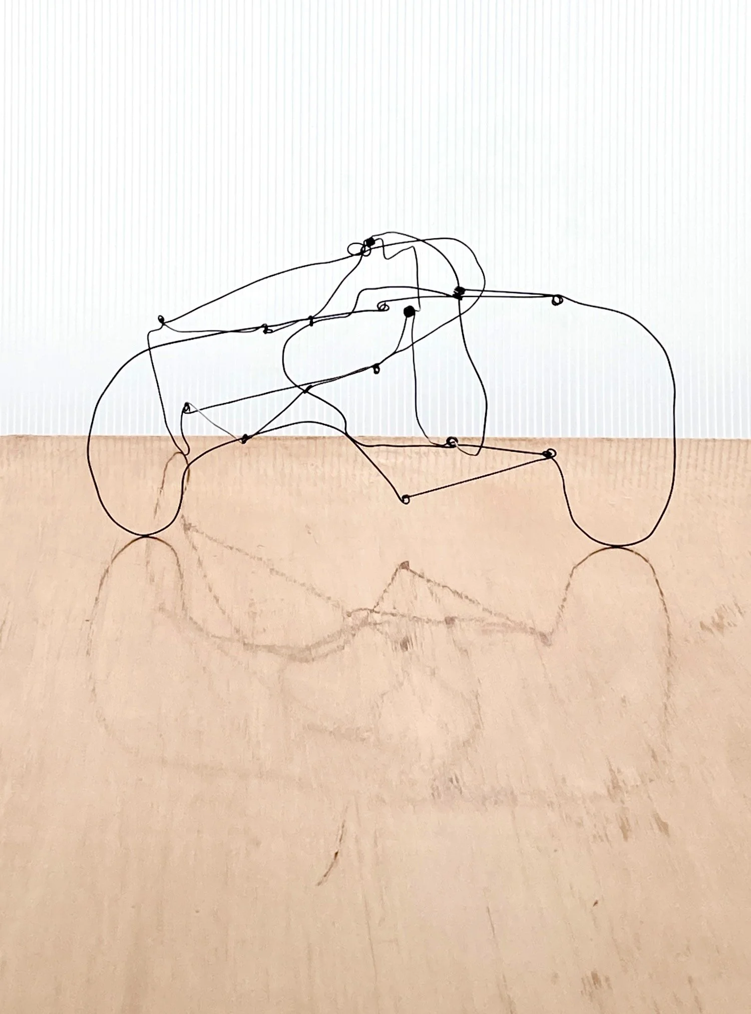 Wire Sculpture 04.jpeg