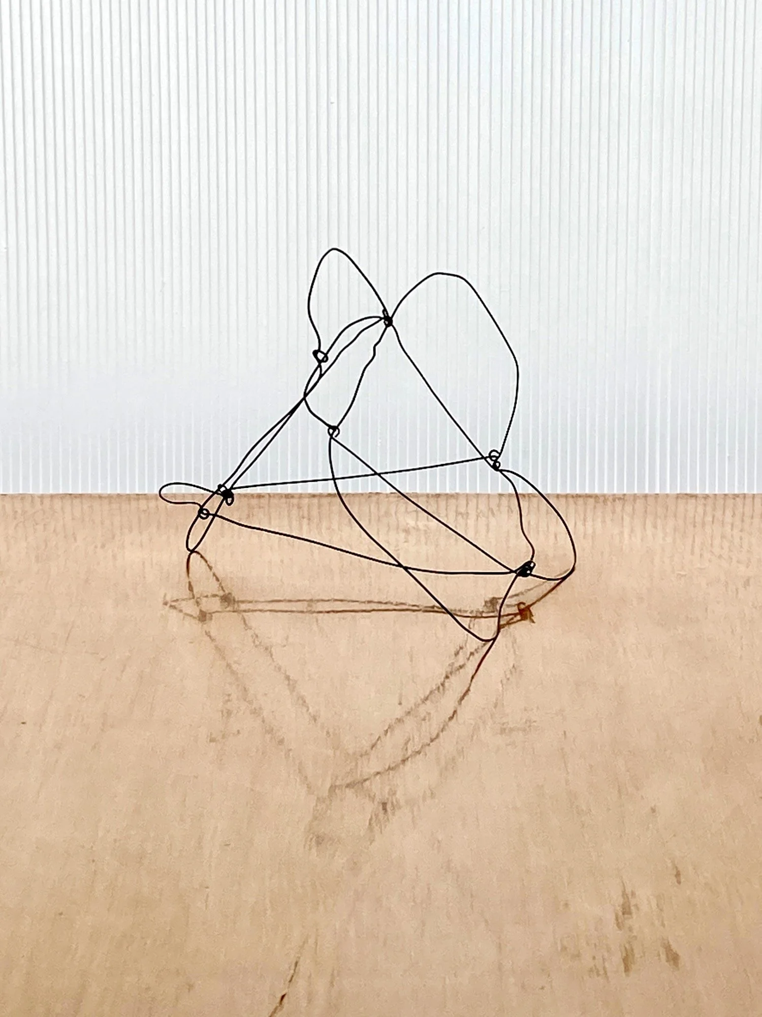 Wire Sculpture 08.jpeg