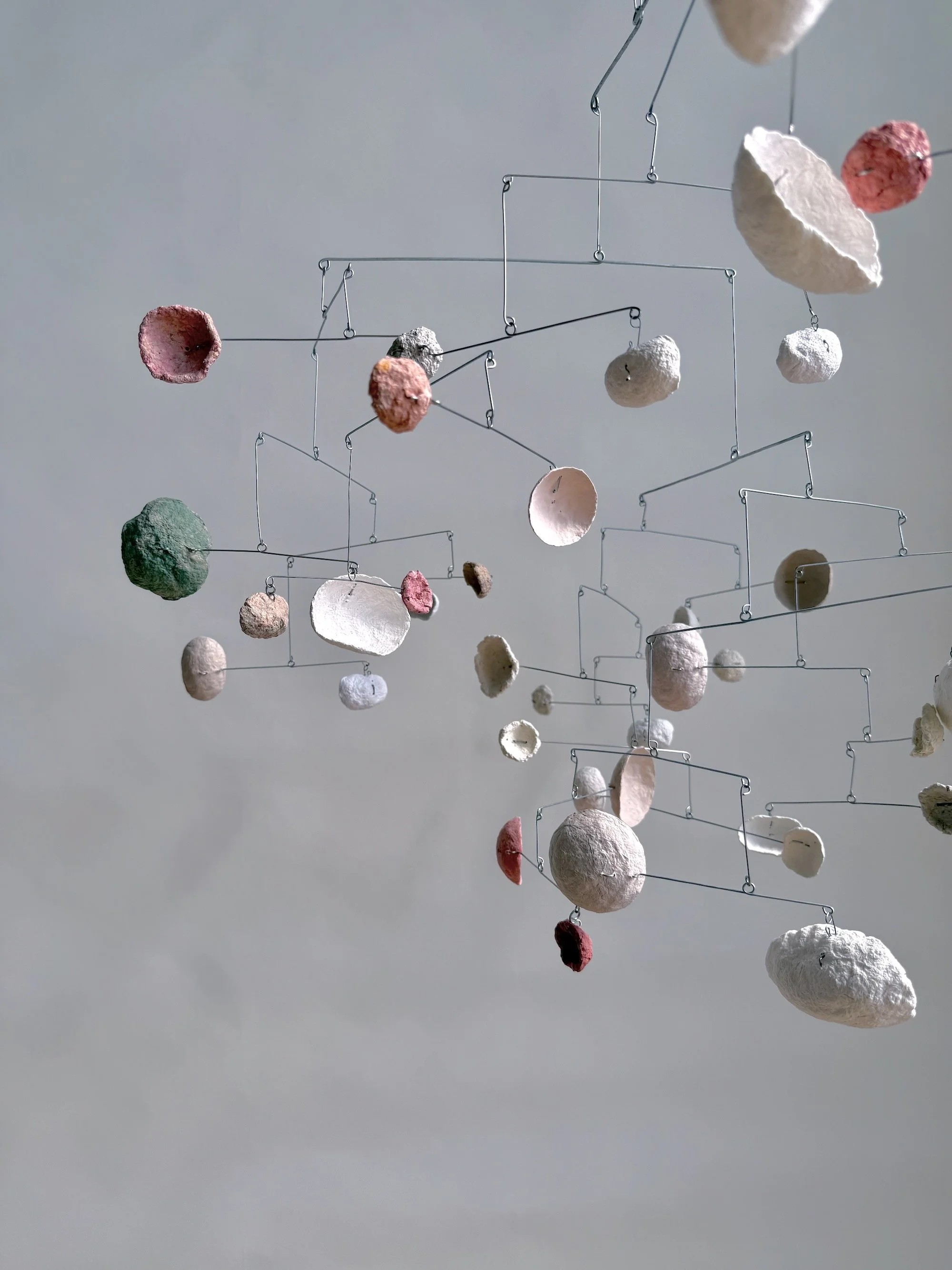 Wiggle-Under. Black-Dot BAA (Edition 5 of 5), 2024 (17).jpeg