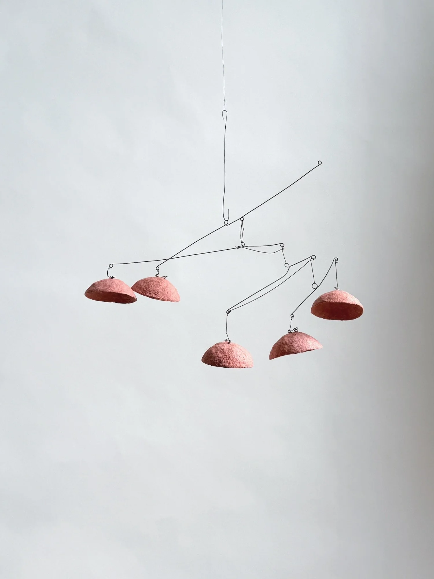 検索中 (Kensaku-chu), 2025 (1).jpeg