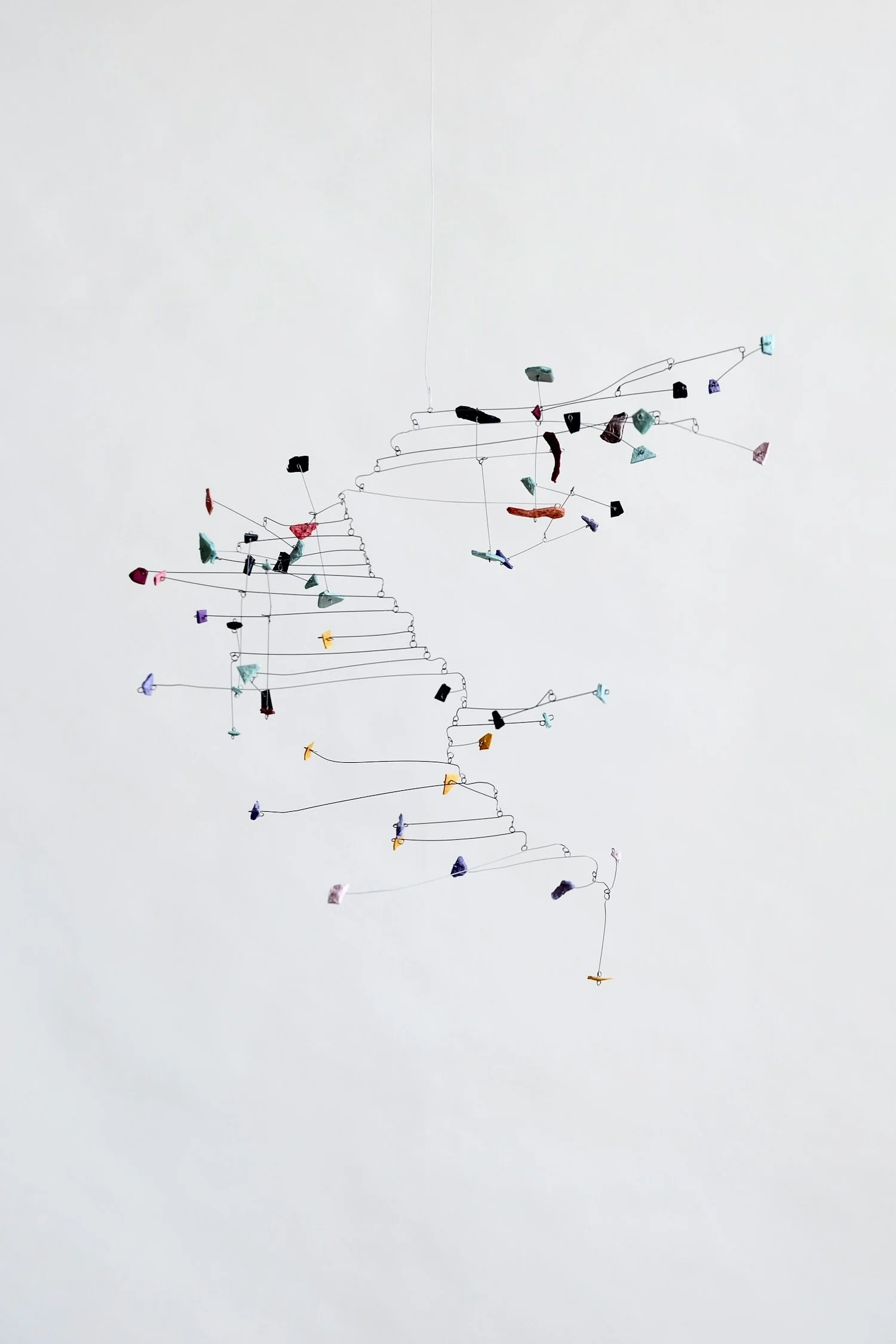 ホネ (Bone), 2025 (1).jpeg