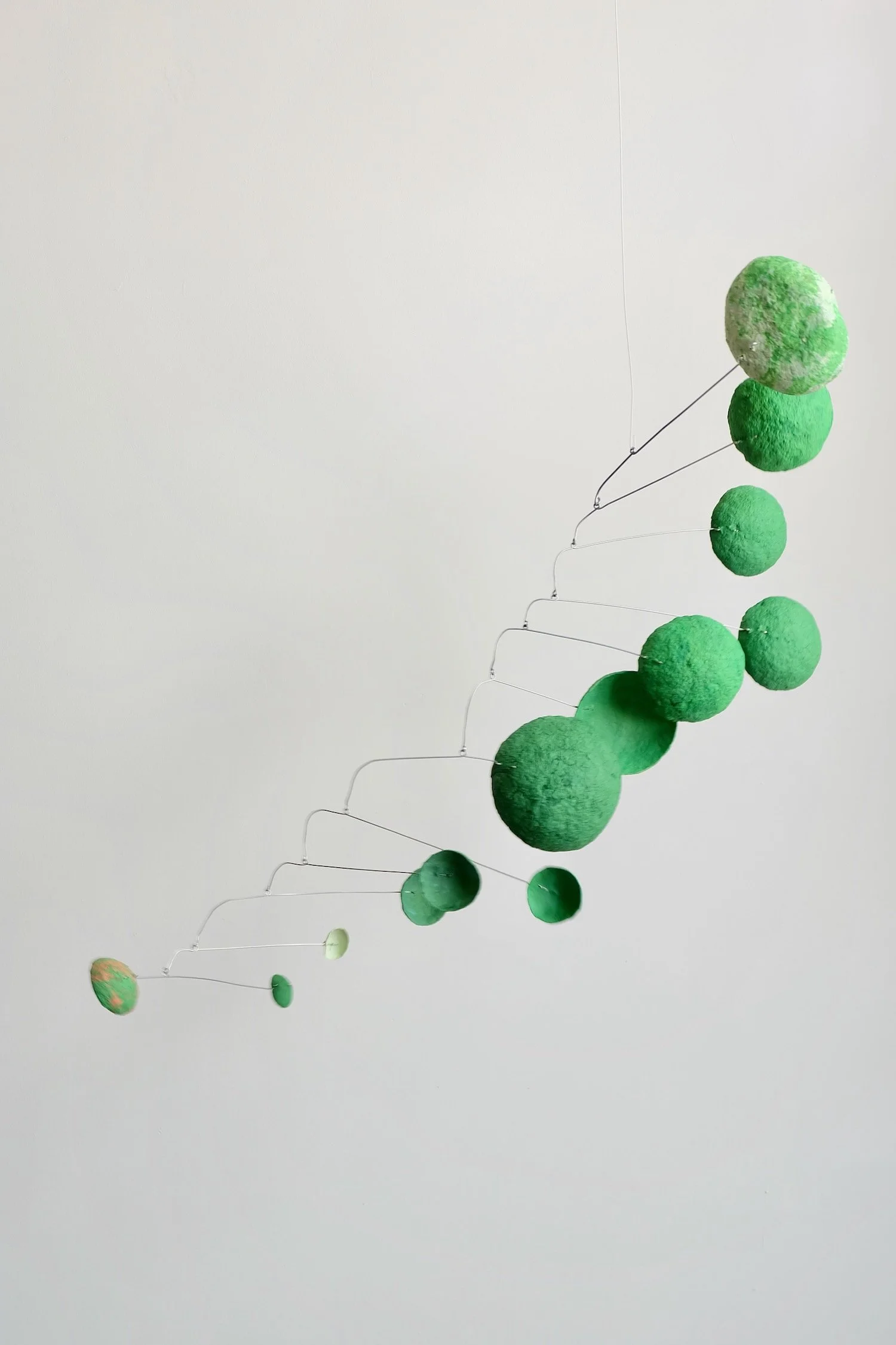 Green Caterpillar 03 (1).jpeg