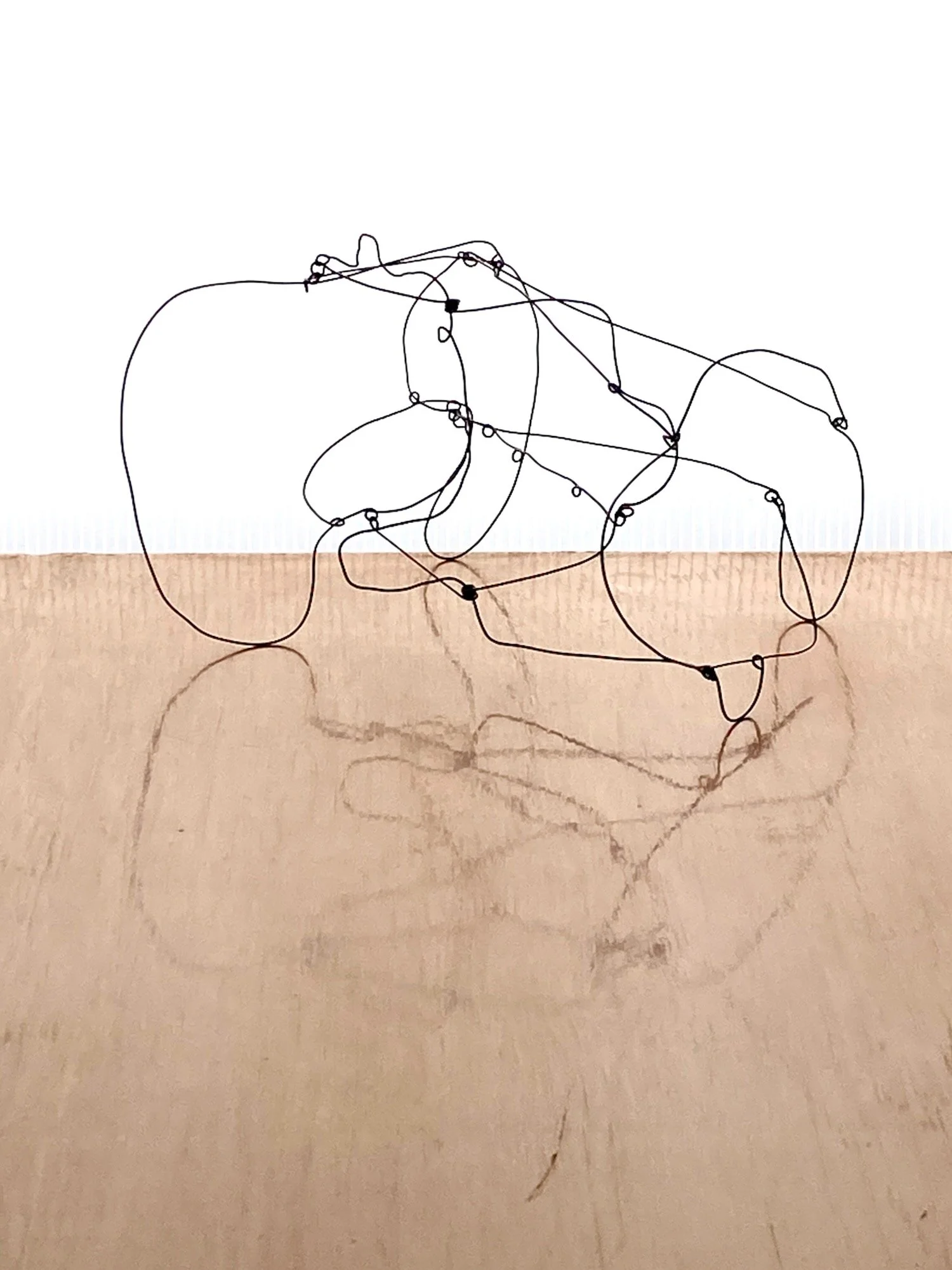 Wire Sculpture 06.jpeg
