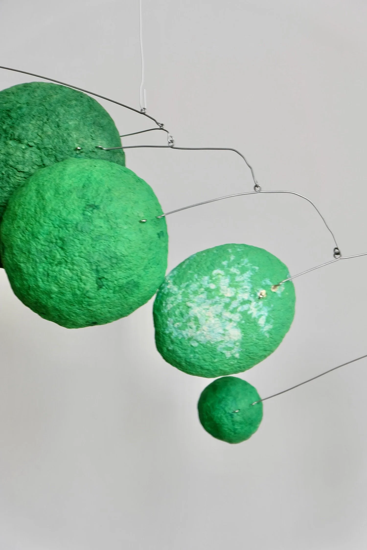 Green Caterpillar 01 (4).jpeg