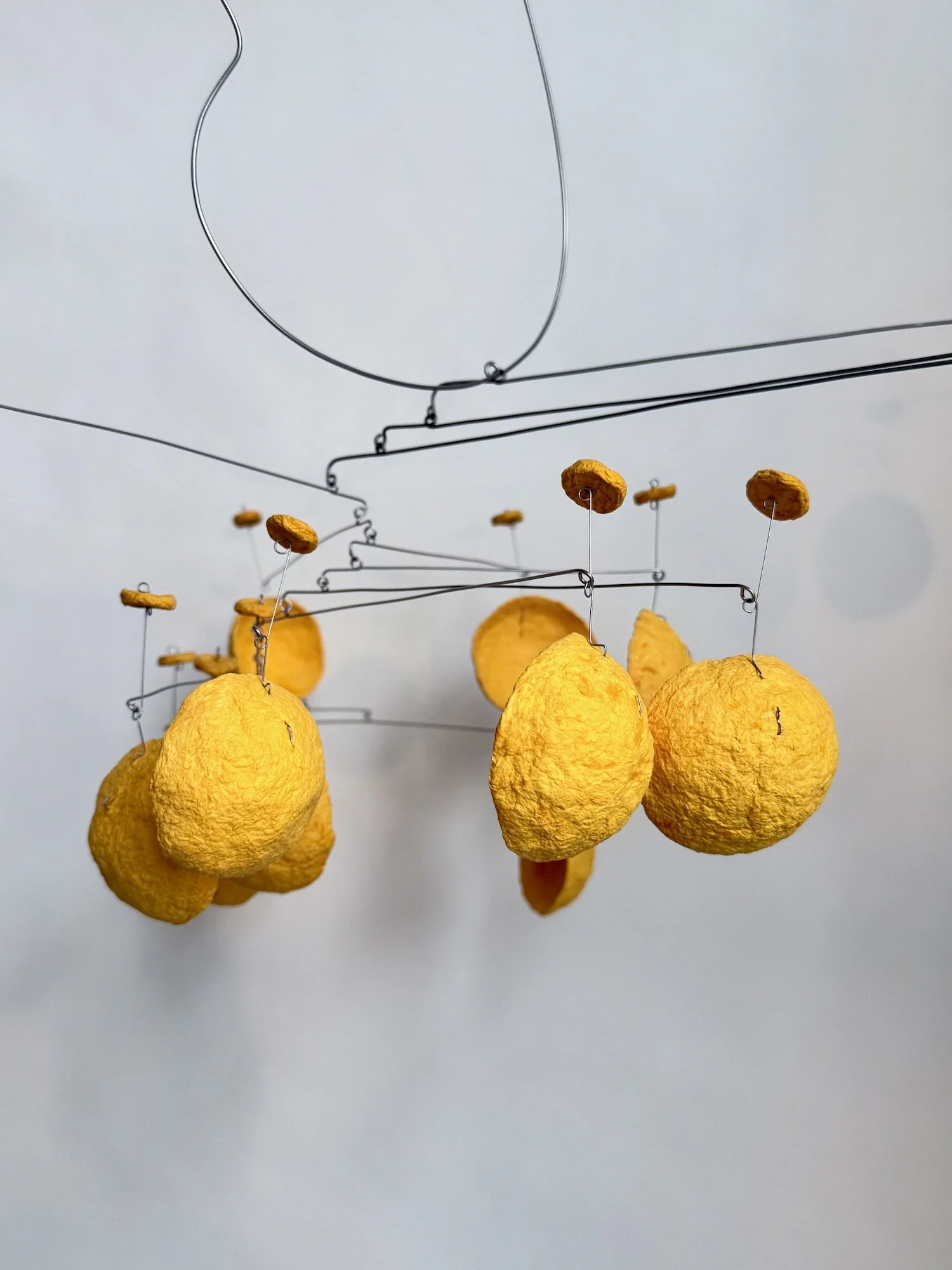 大人気 (Truly Popular), 2025. (5).jpeg