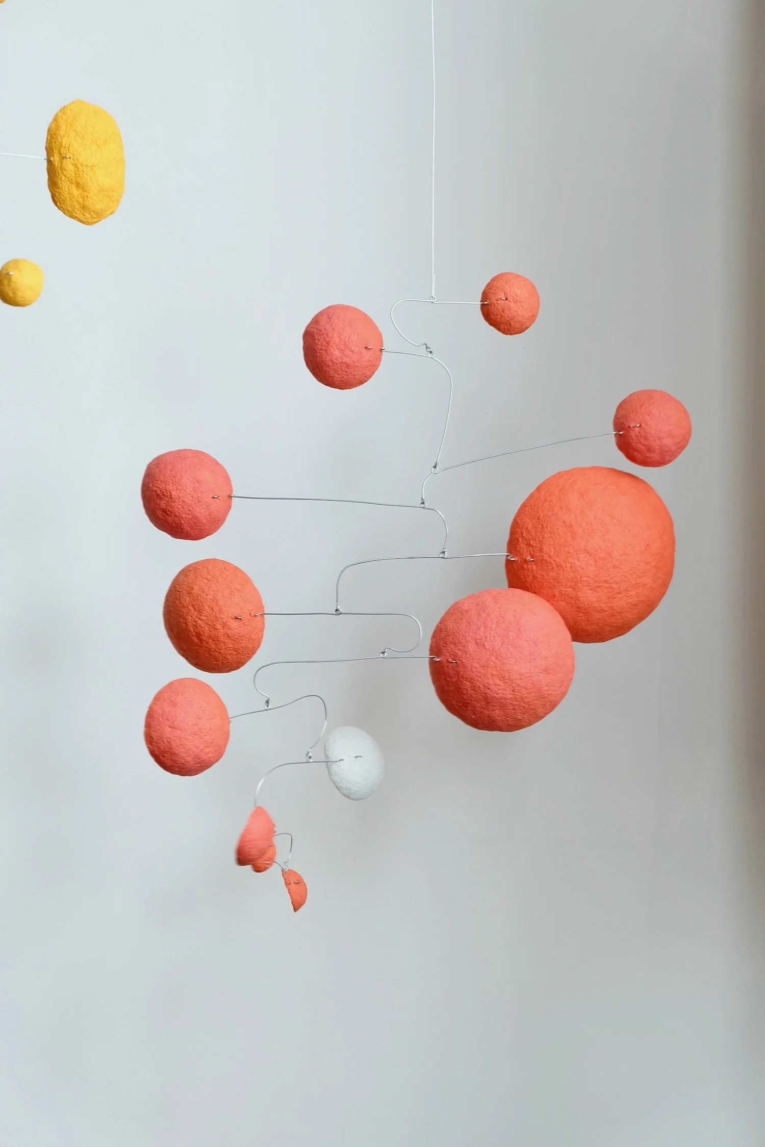 3-02 PM (Orange) (2).jpeg