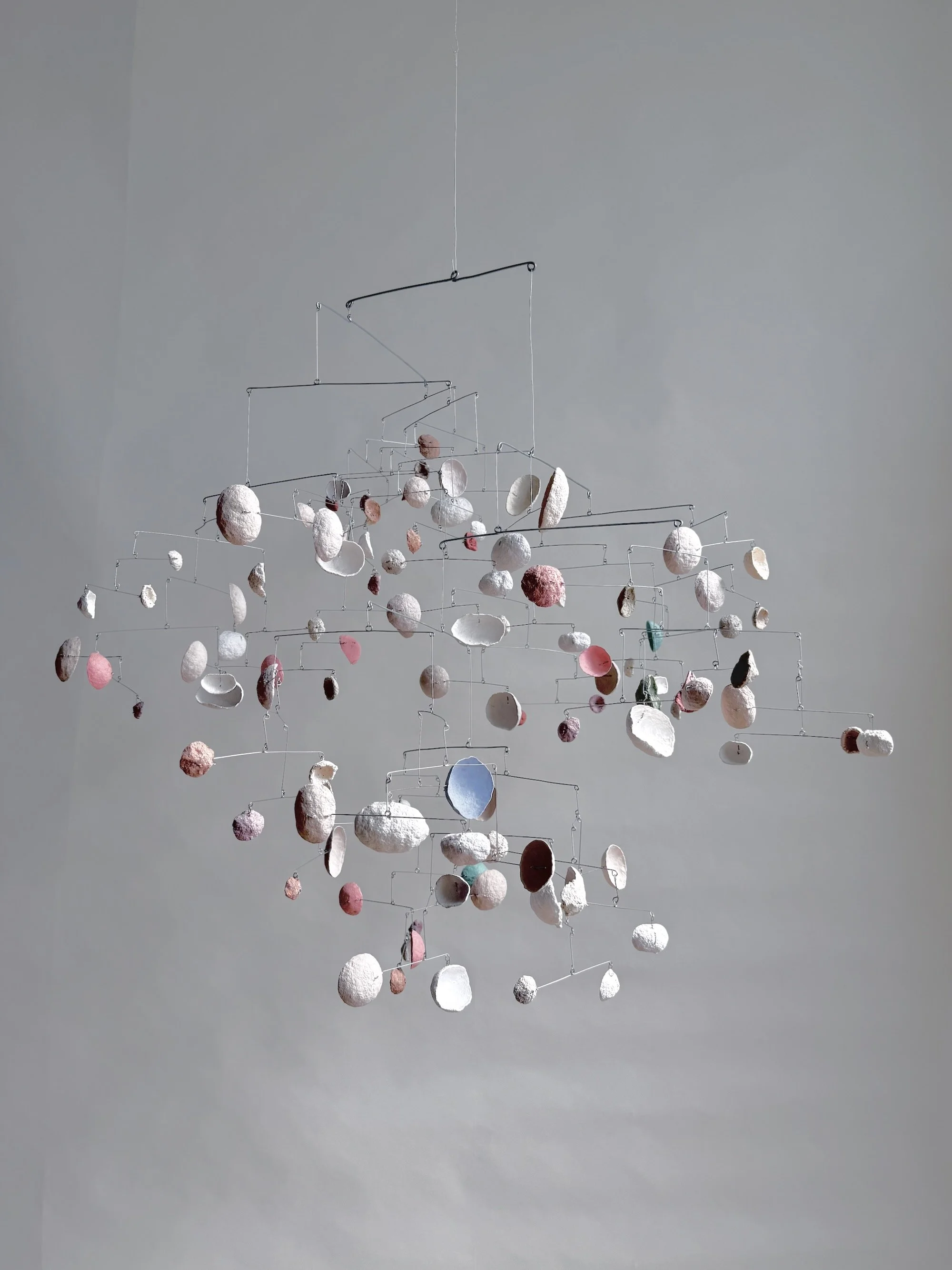 Wiggle-Under. Black-Dot BAAB-BAA, 2024. (13).jpeg