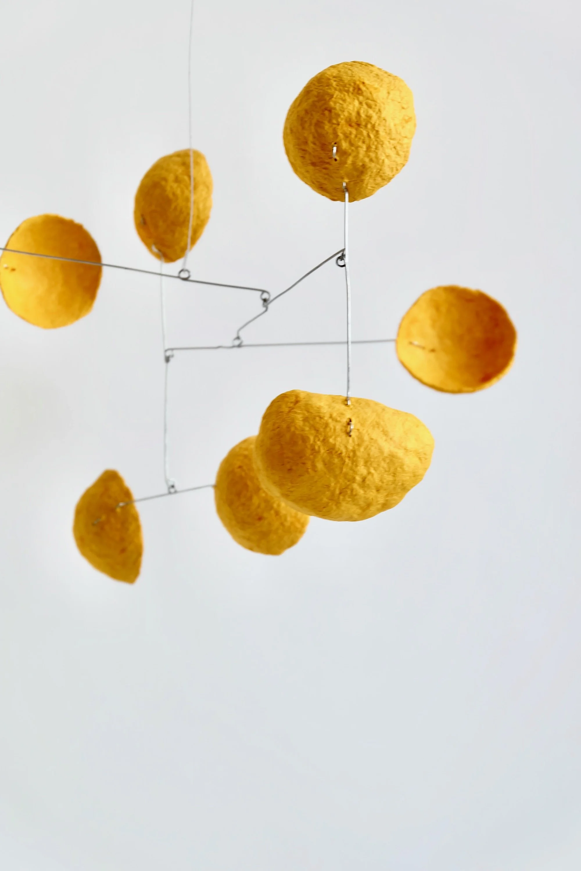 Bonbon Yellow (5).jpeg