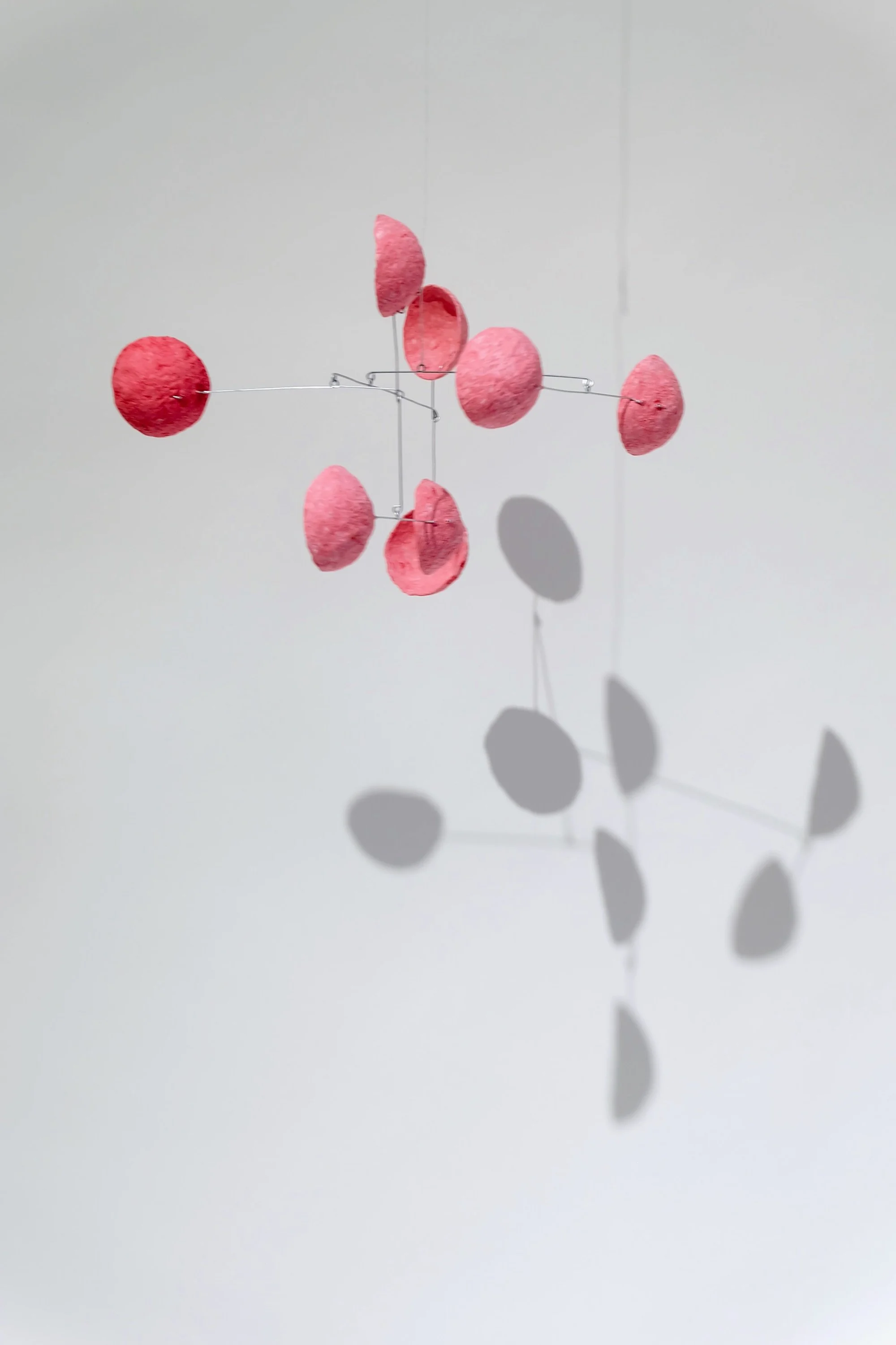 Bonbon Pink (2).jpeg