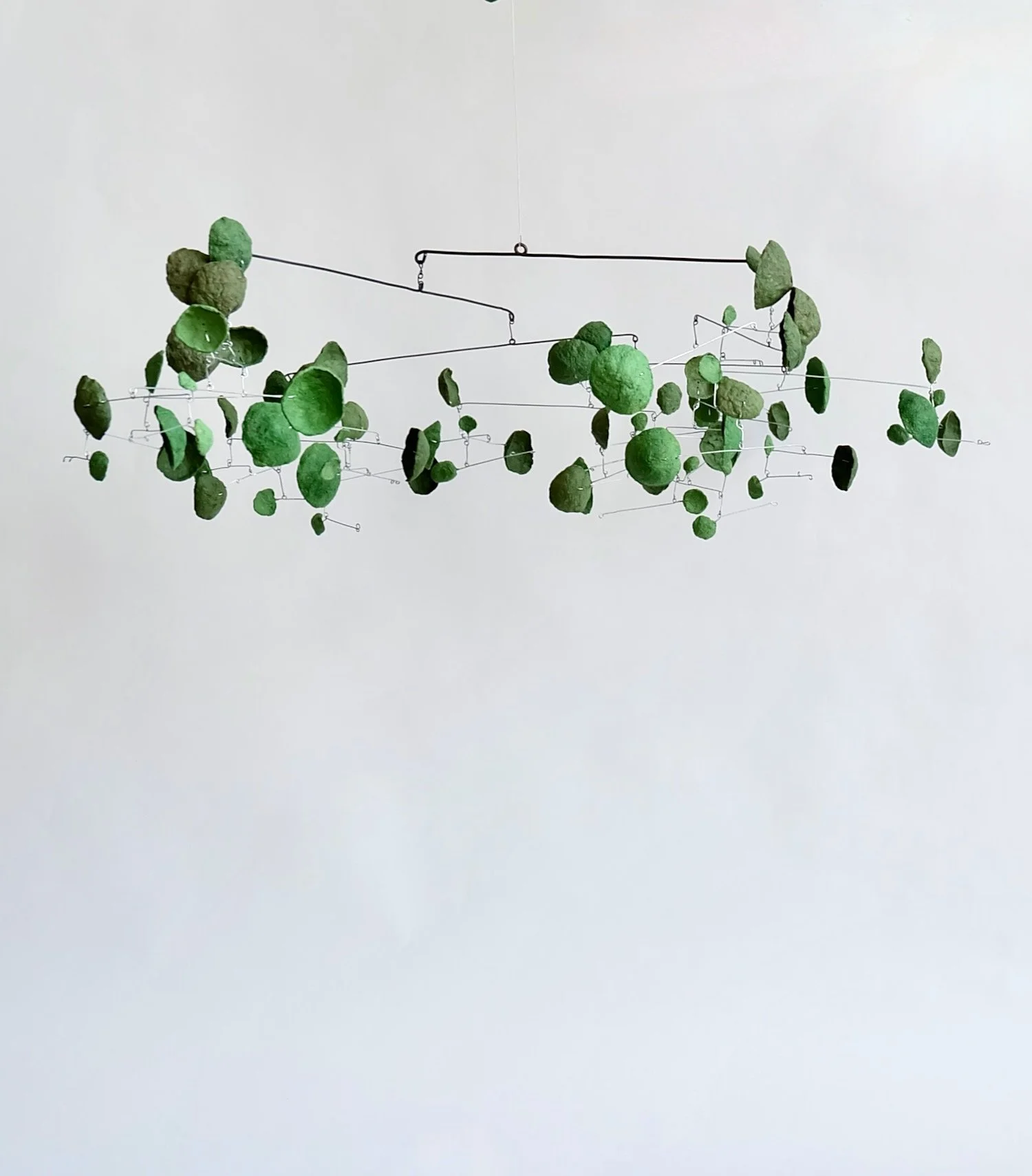 Hopeful Green H6 with Half Fern.jpeg