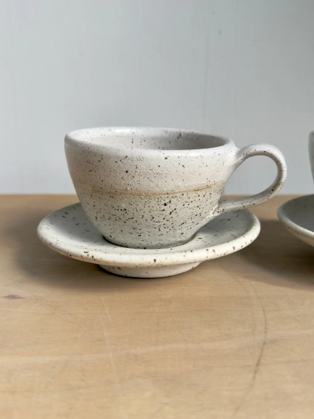 Speckled Cup with Saucer.jpeg
