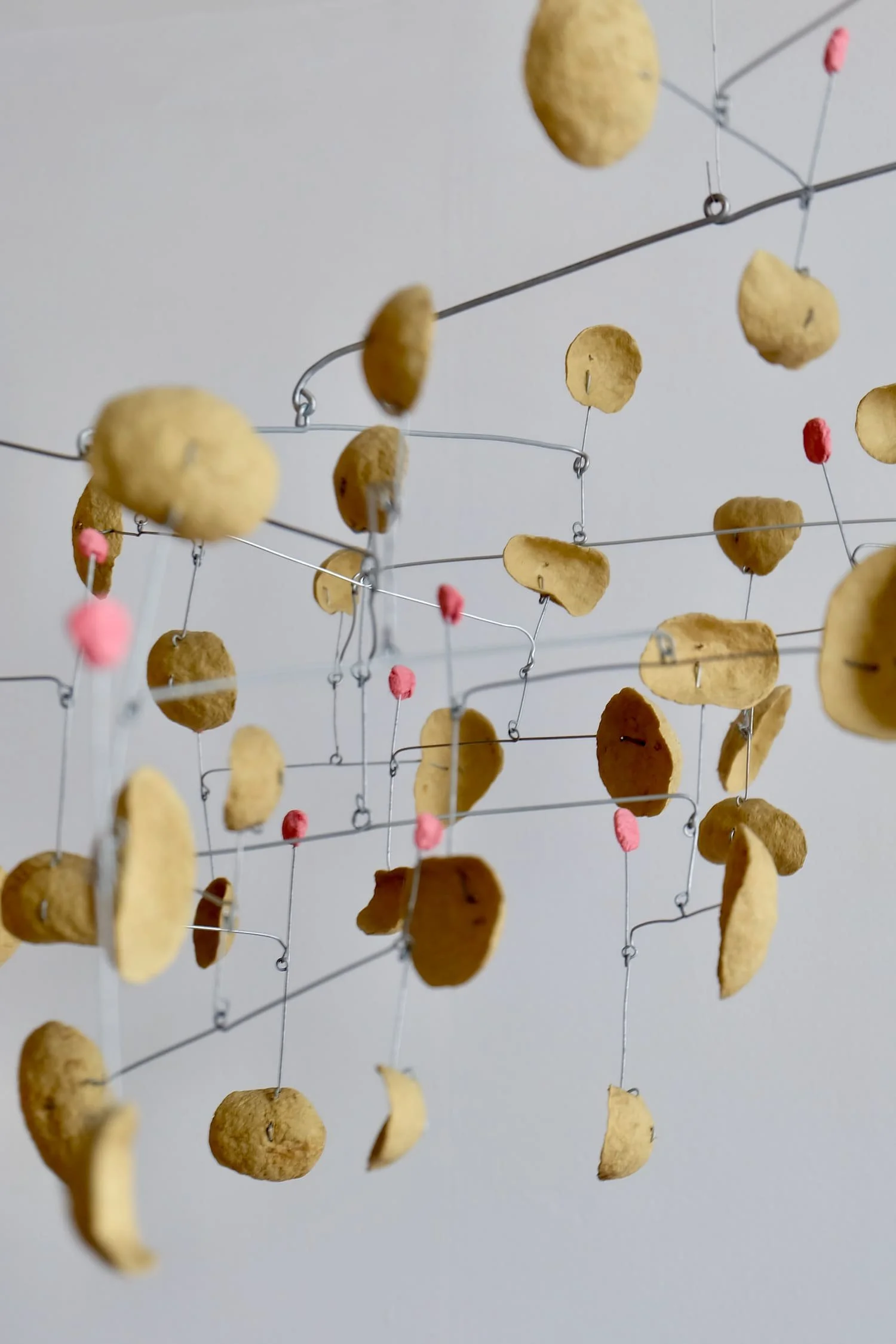 Maple Glaze with Pickled Plums (4)-1500.jpeg