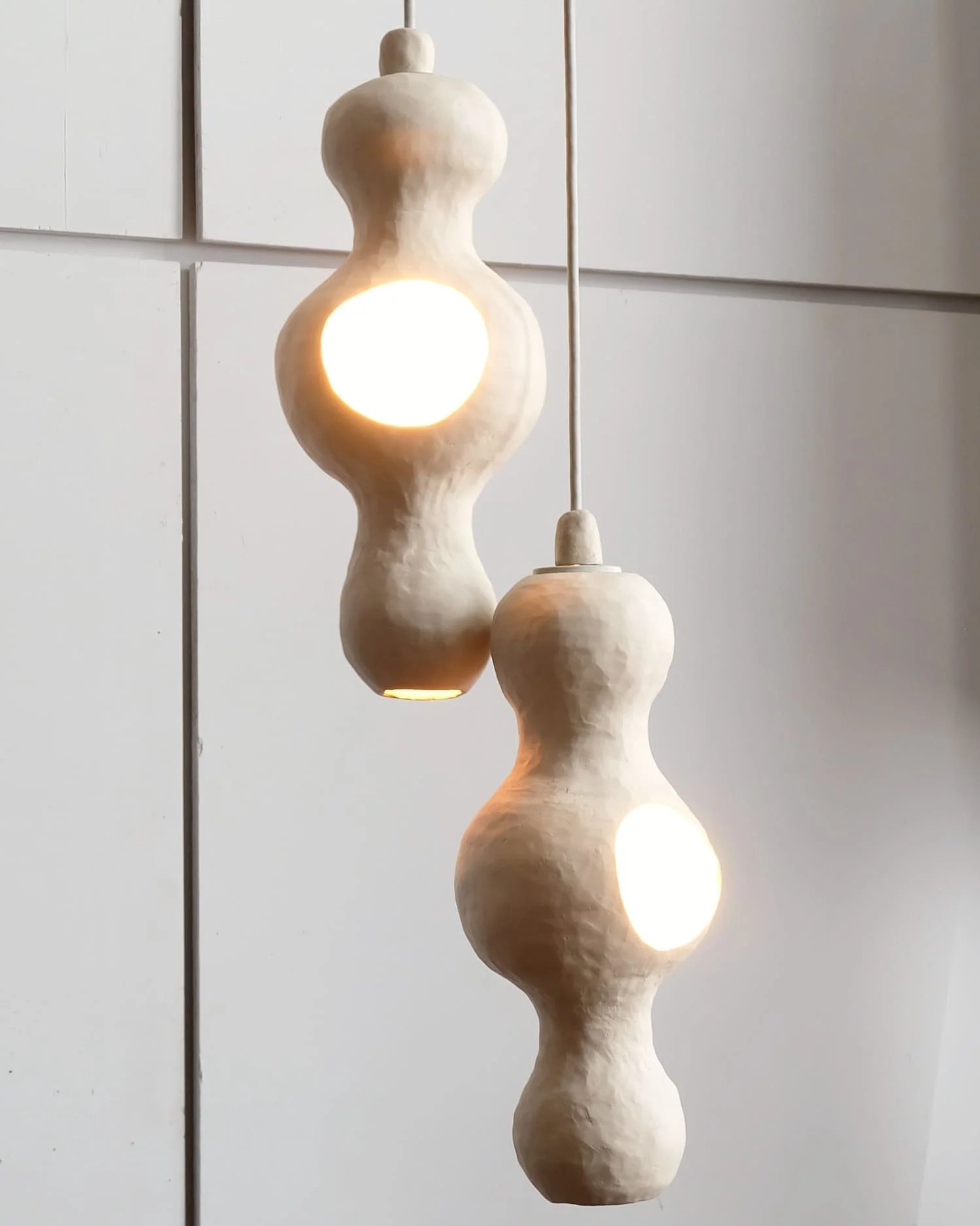 Bowerbird Couple for Edison.jpeg