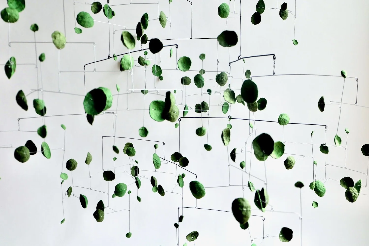 Hopeful Green 3-H6S (1).jpeg