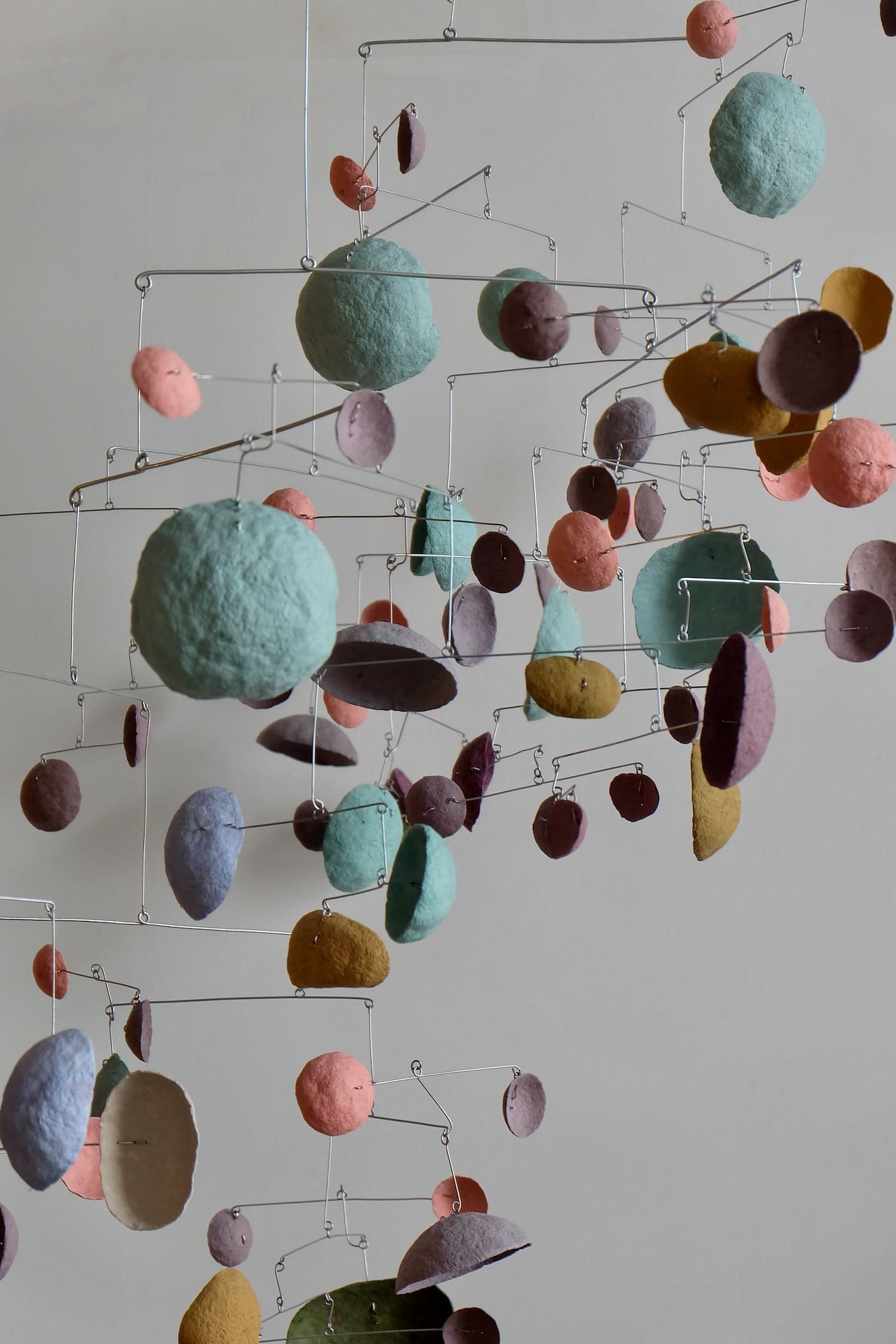 Purple-Dot BAAB-BAA-02-1500.jpeg