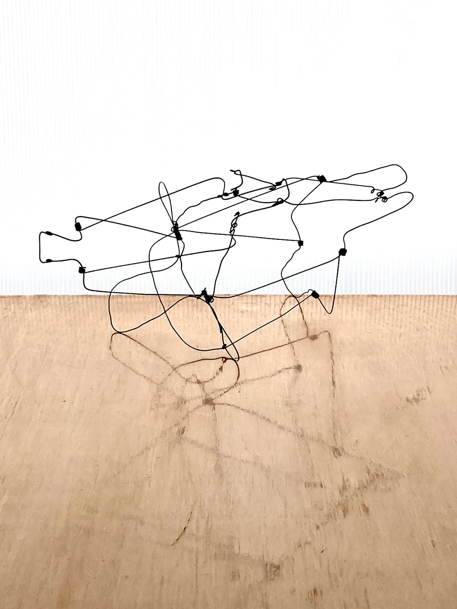 Wire Sculpture 07.jpeg