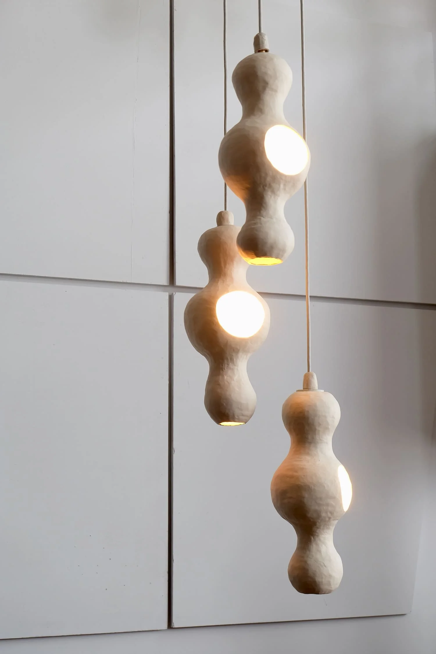 Bowerbird Family for Edison.jpeg